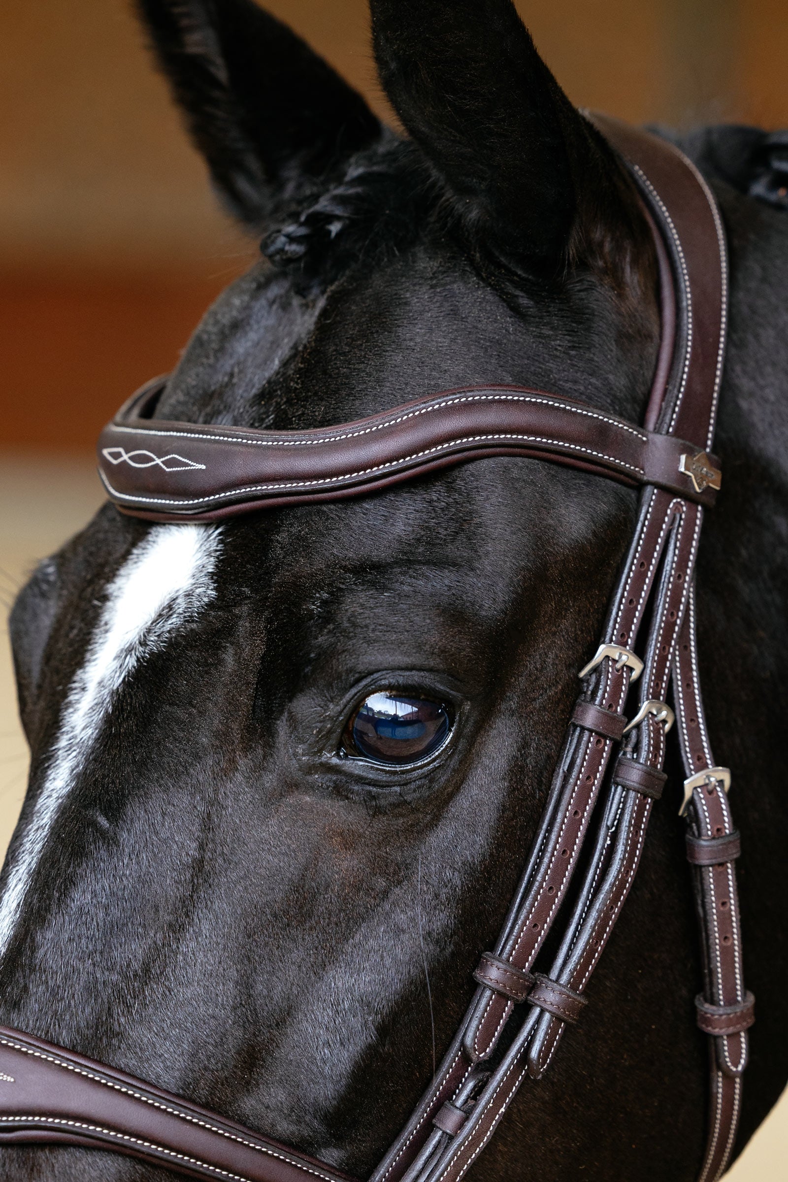 LeMieux Kudos Contour Anatomichal Flash Bridle Bridles & Reins