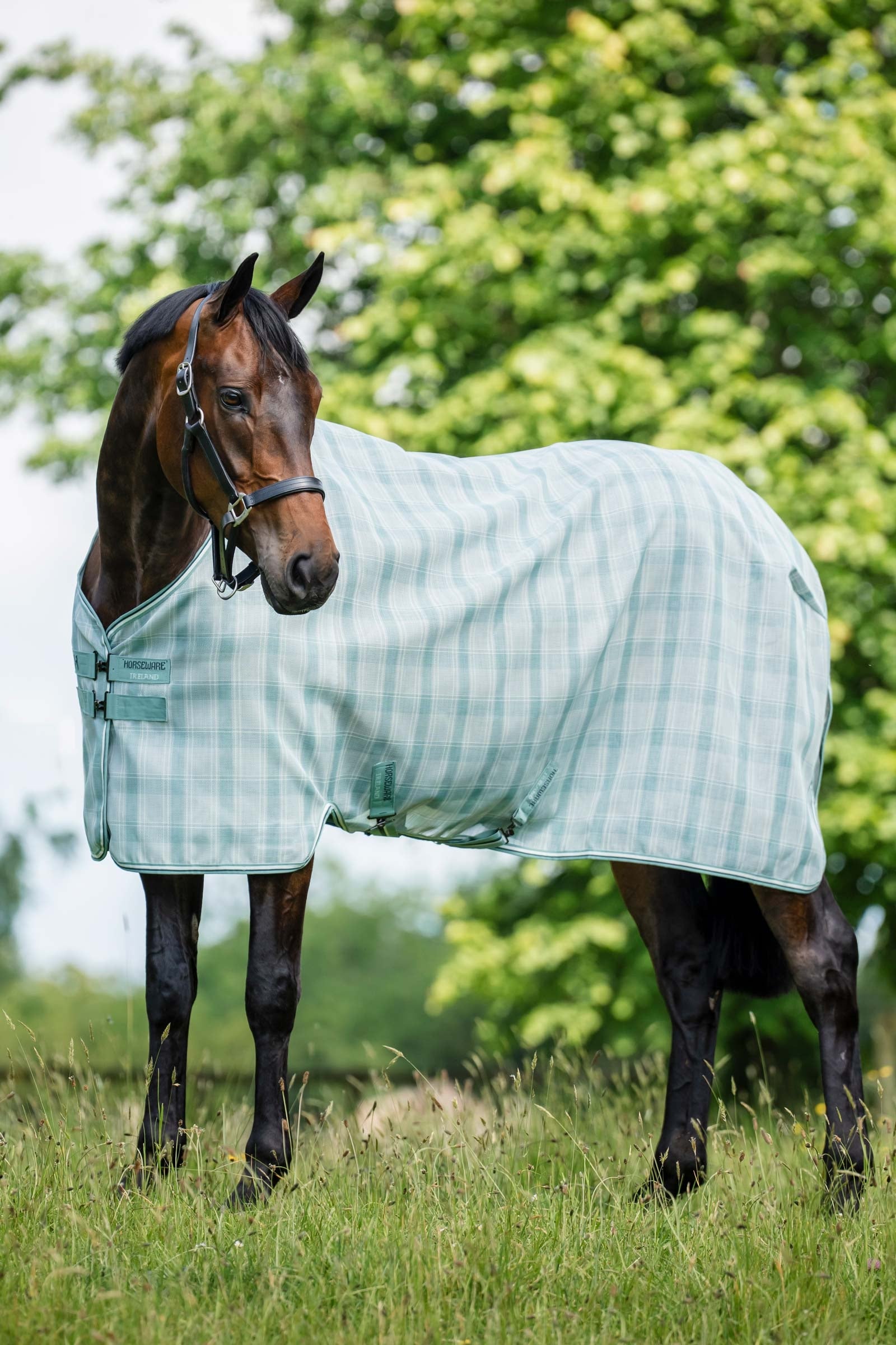 Horseware Newmarket manta antimoscas con protección UV Mantas Caballo