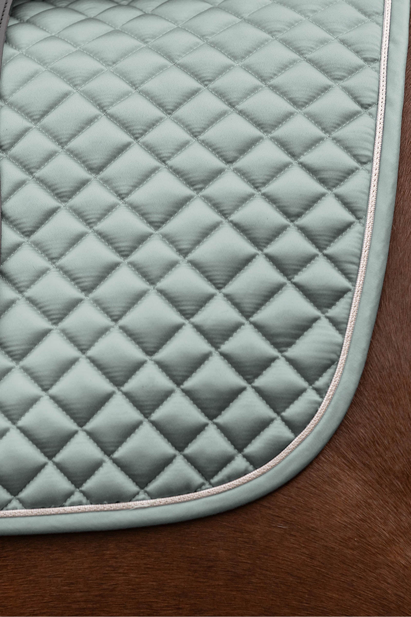 Waldhausen Felix Glam Dressage Saddle Pad Saddle Pads