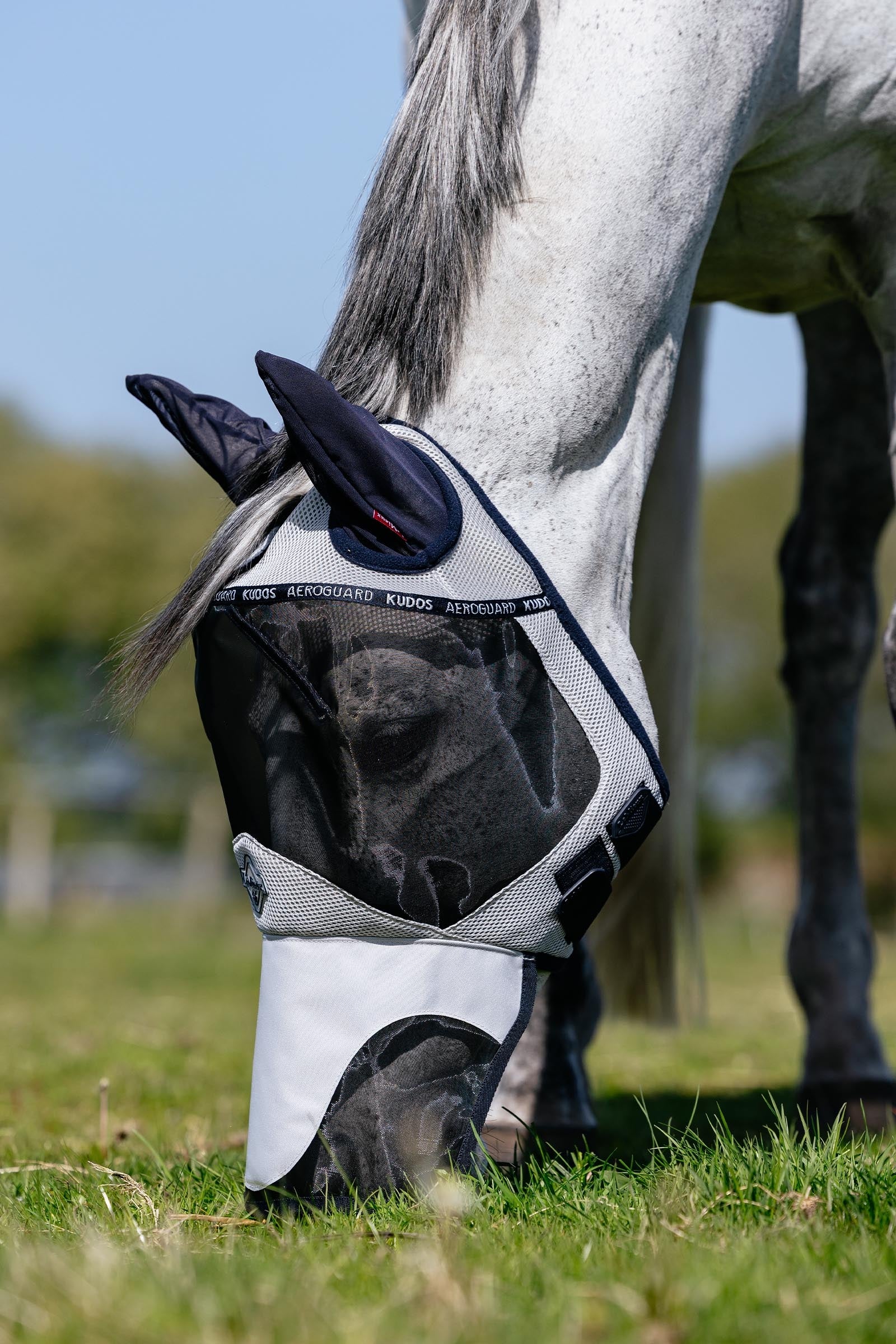 LeMieux Kudos AeroGuard Half Fly Mask Antifly Protection for Horses