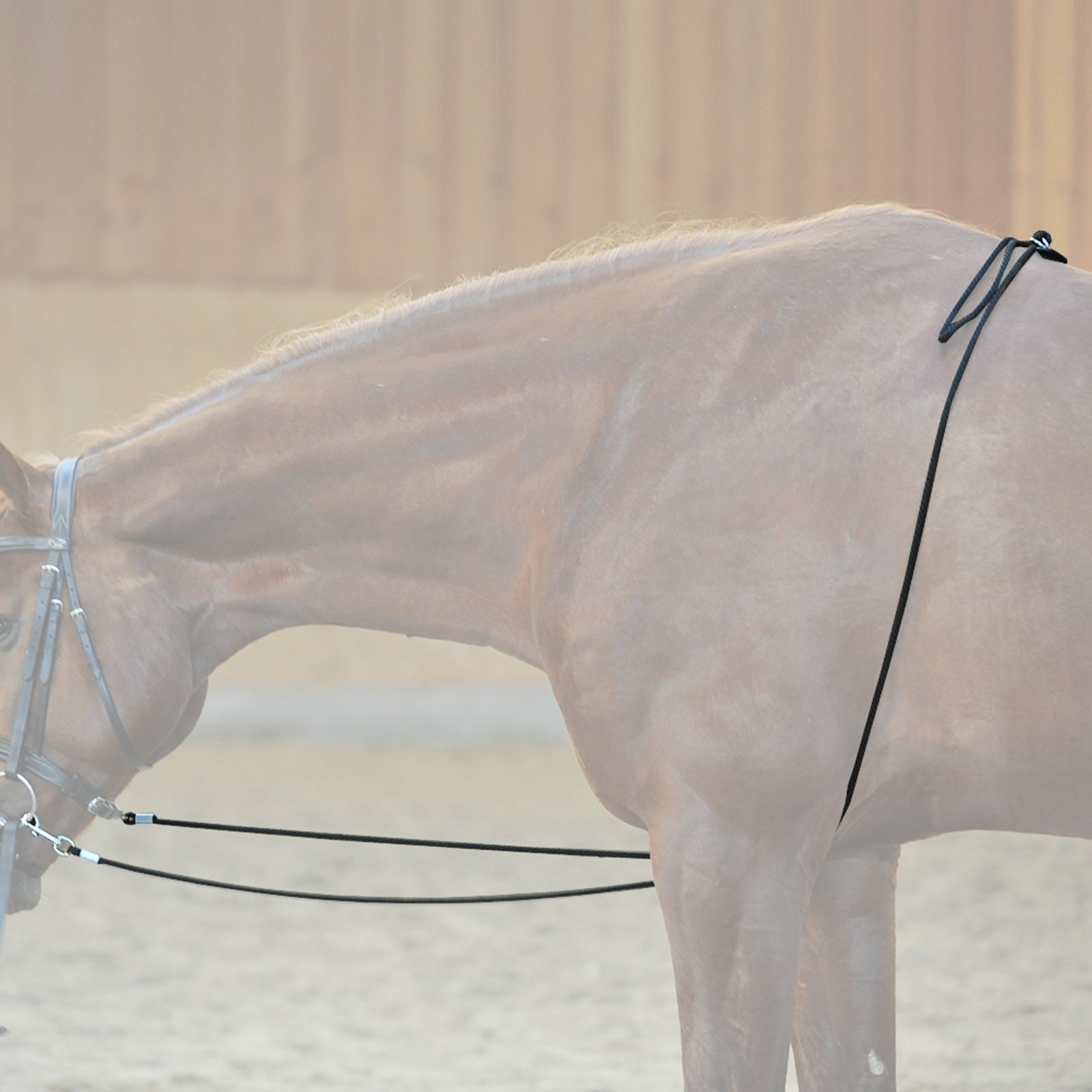 Kavalkade Ayuda para estocadas HO Entrenamiento Caballo