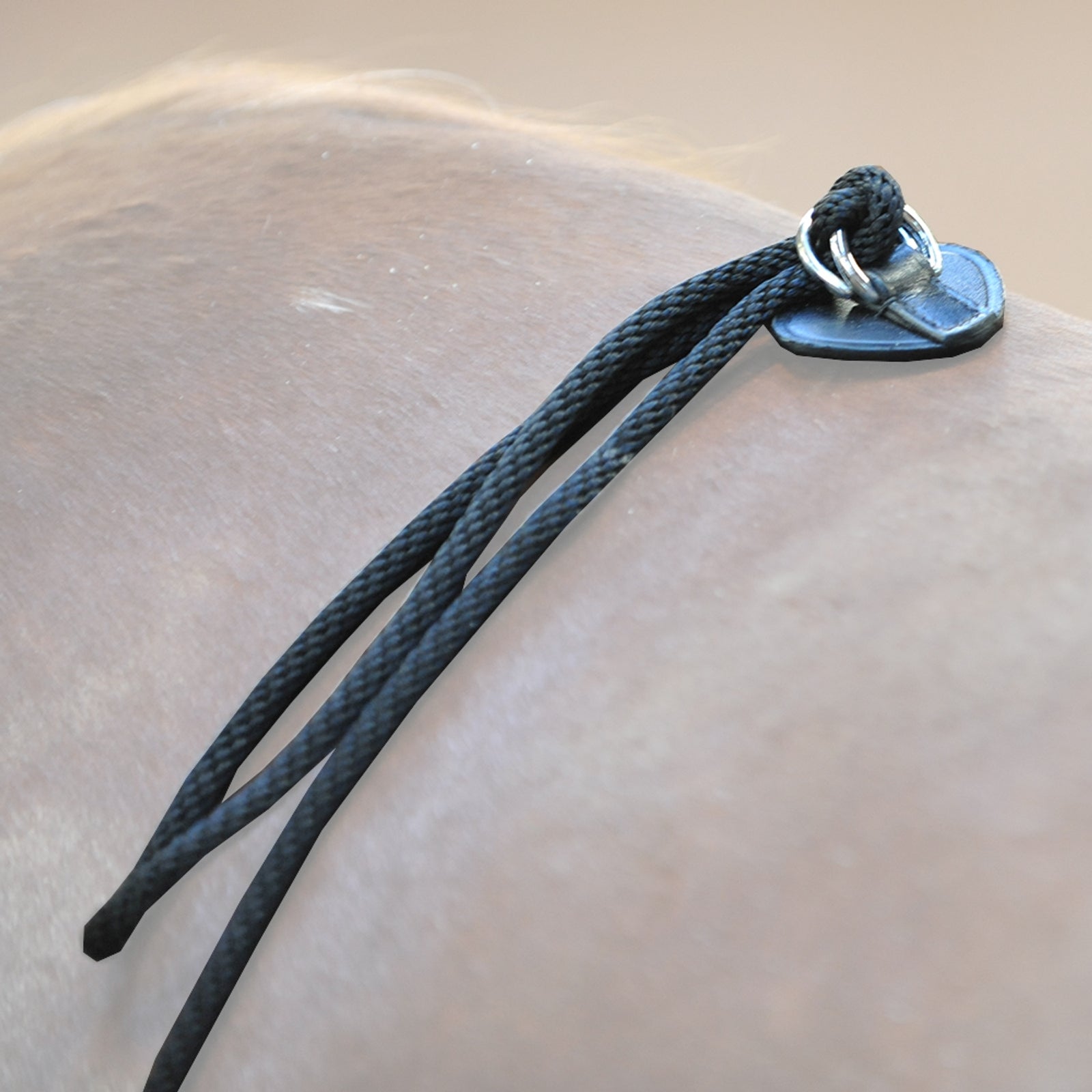 Kavalkade HO lungeing aid Horse Training