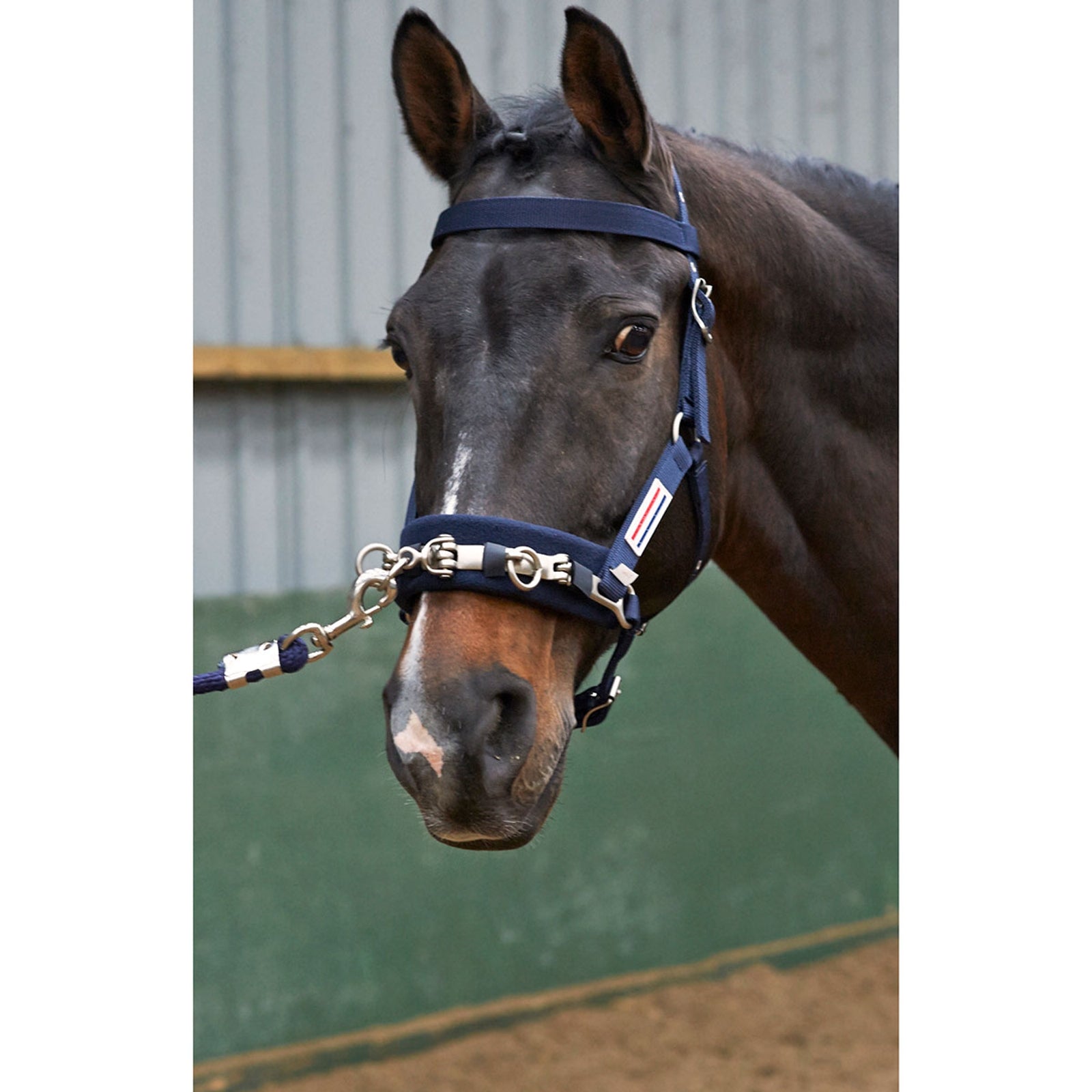 John Whitaker JW Lunge Cavasson Halters & Leads