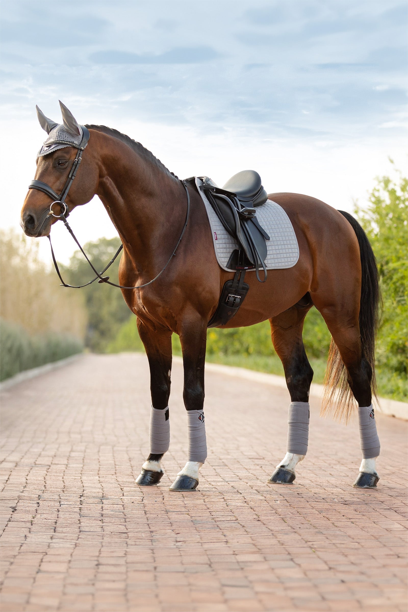 LeMieux Suede mantilla doma Mantillas