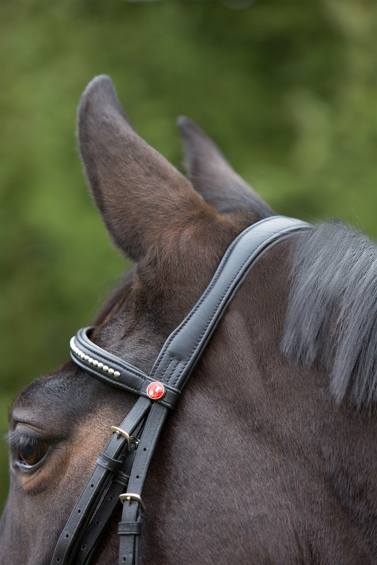 Kieffer Ultrasoft® Bridle Bridles & Reins