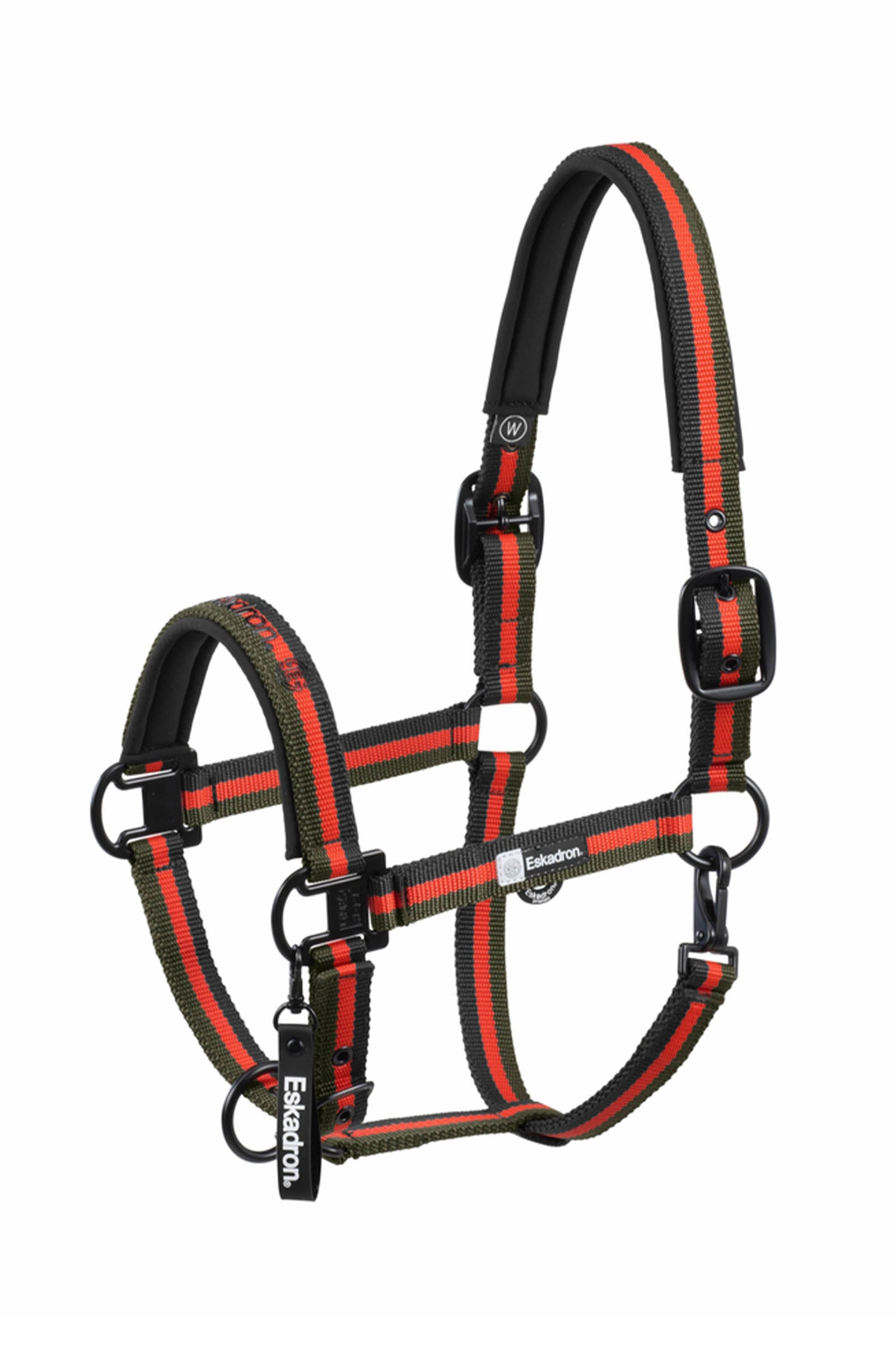 Eskadron Dynamics AW25 cabezada cuadra con hebilla doble Cabezadas de cuadra & Ramales