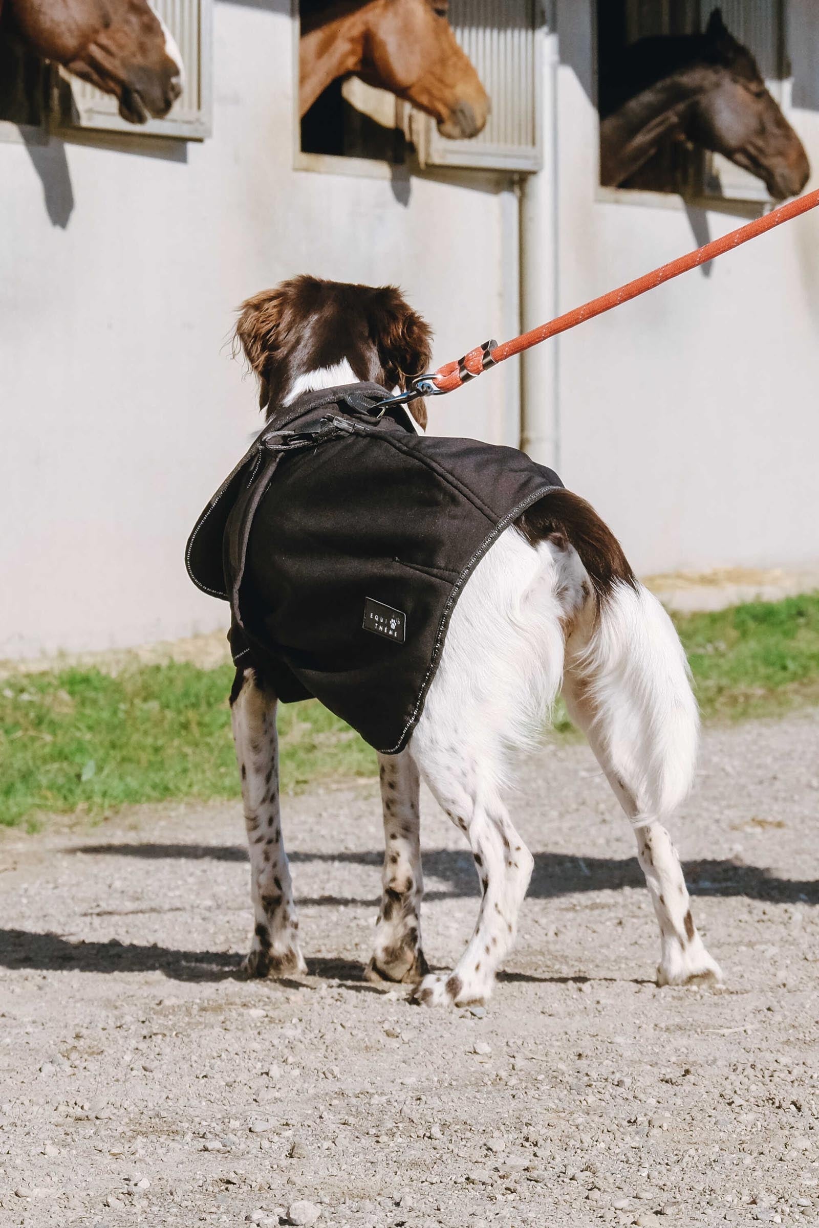Equi Theme EQUITHÈME Softshell Dog Rug Dog Accesories
