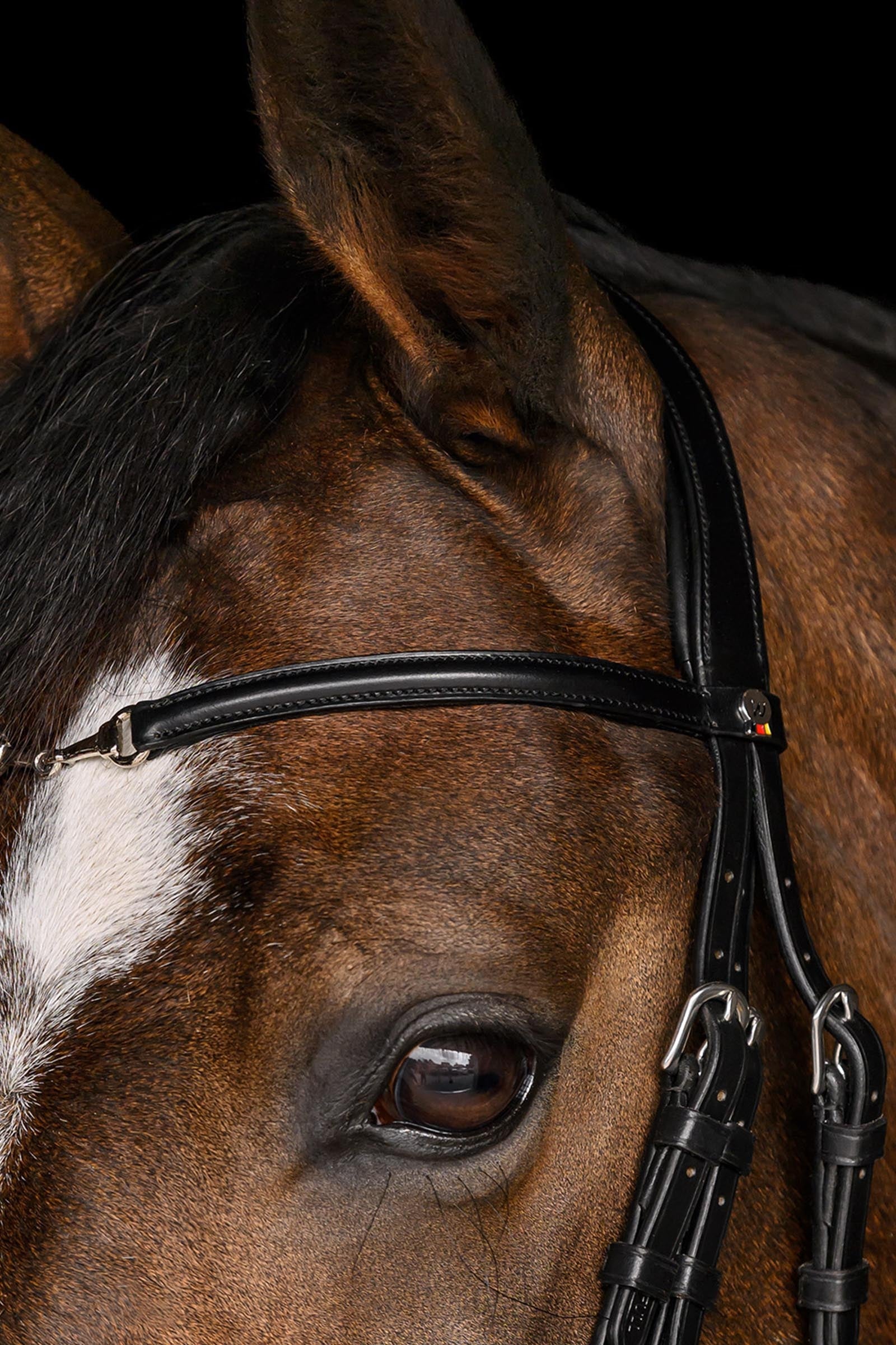 Waldhausen X-Line Charmbit Bridle Bridles & Reins