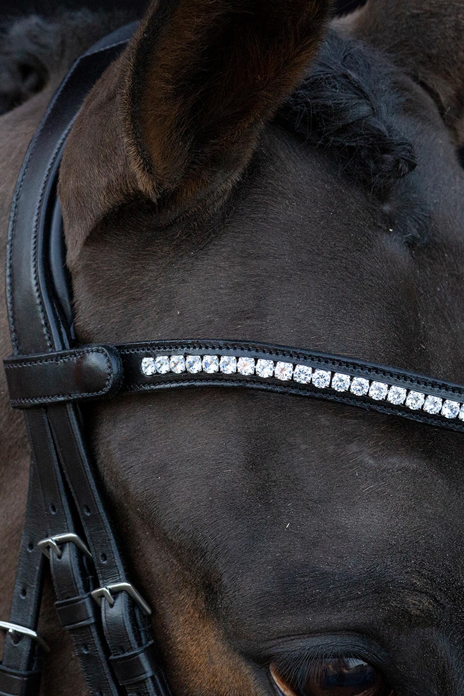Schockemöhle Sports Charleston Bridle Bridles & Reins