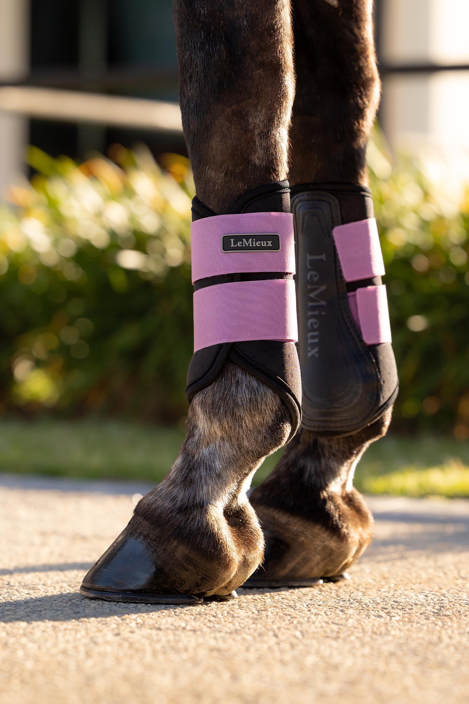 LeMieux Air-Tek Grafter Brushing Boots Leg Protection & Hoof Protection for Horses