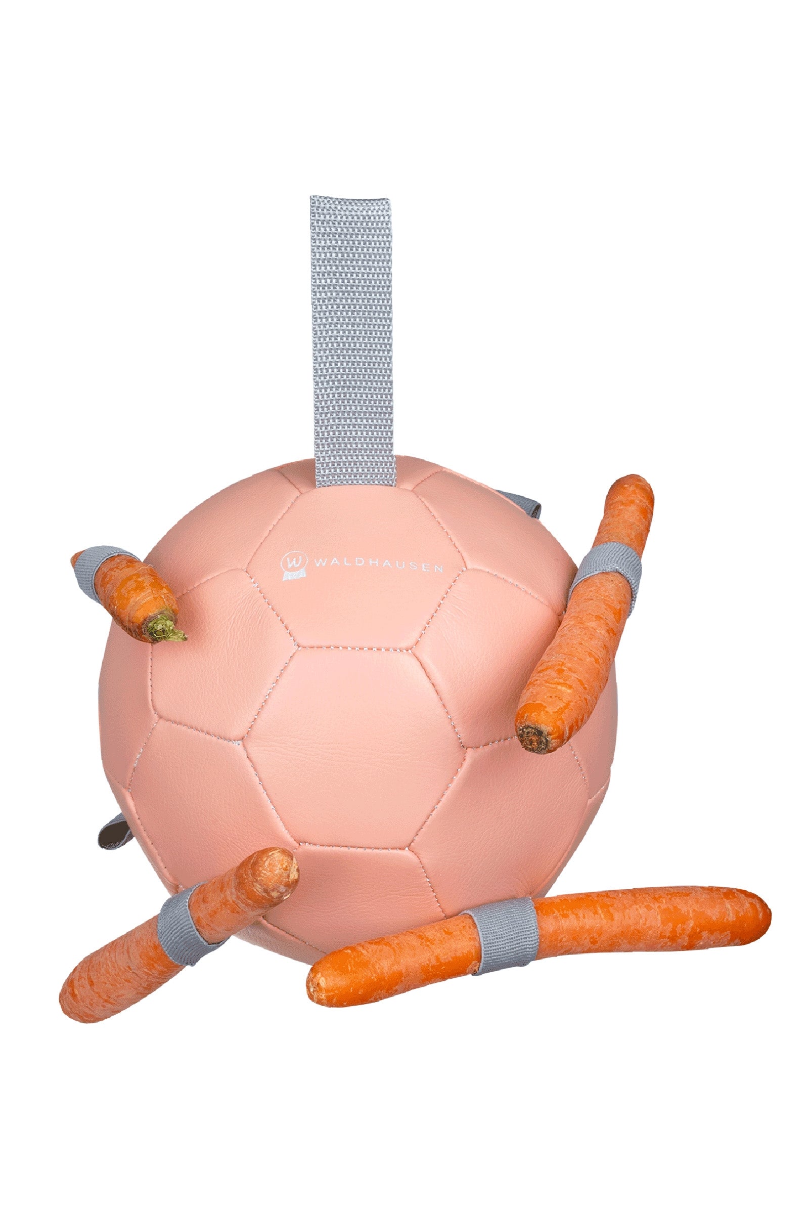 Waldhausen Carrot Ball Horse Toys & Riding Arena Supplies
