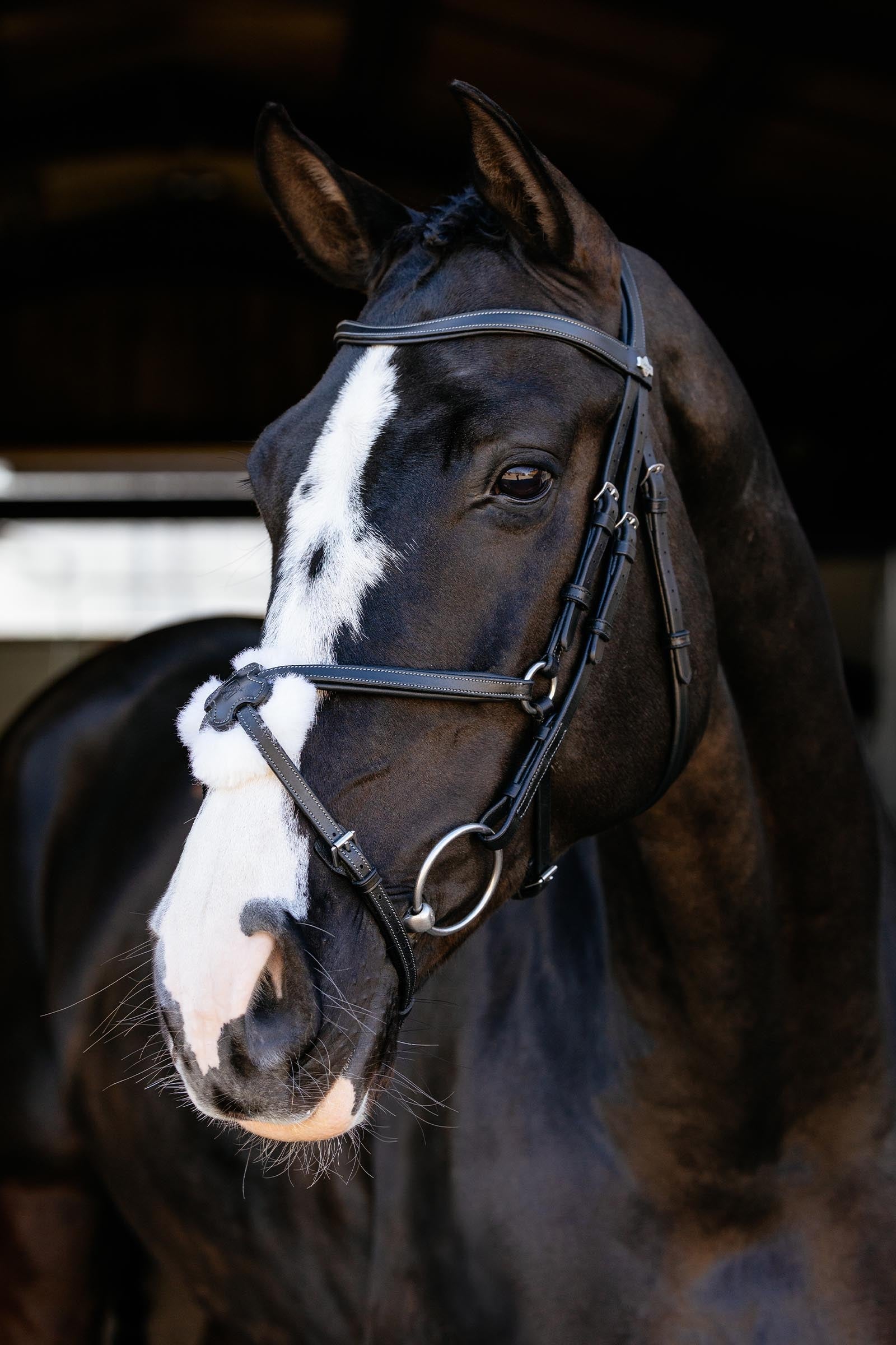 LeMieux Arika Grackle Bridle Bridles & Reins