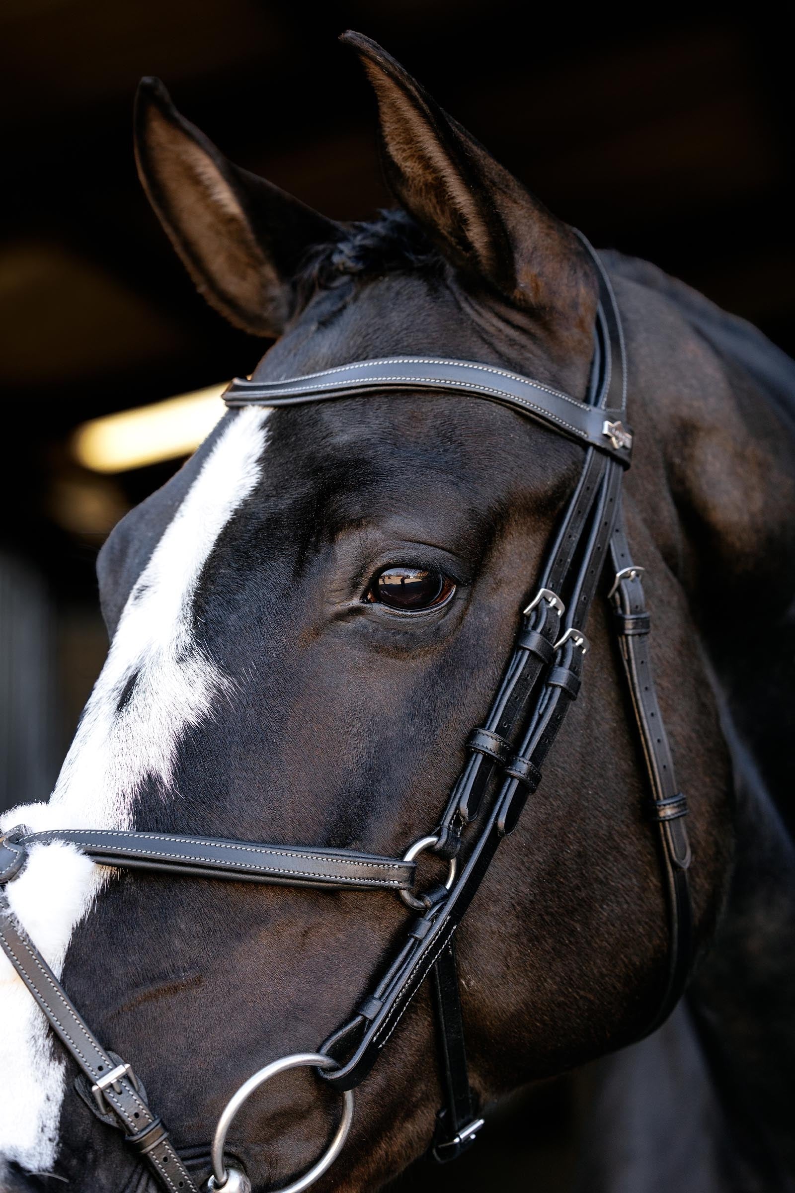LeMieux Arika Grackle Bridle Bridles & Reins