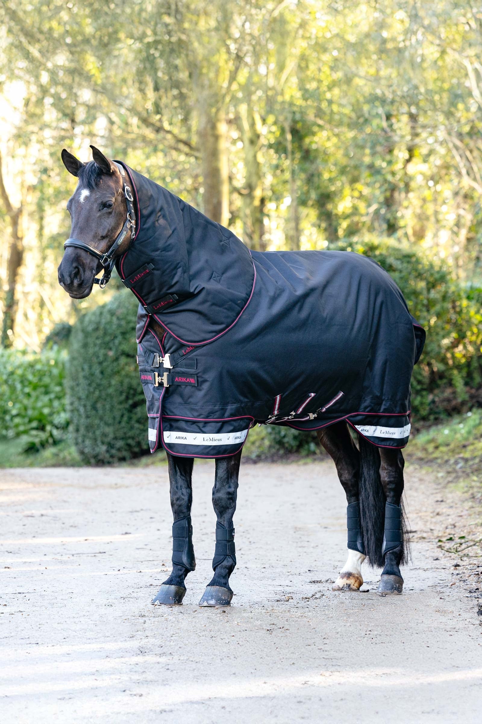 LeMieux Arika Storm-Tek manta de exterior con cuello desmontable, 50 g Mantas Caballo