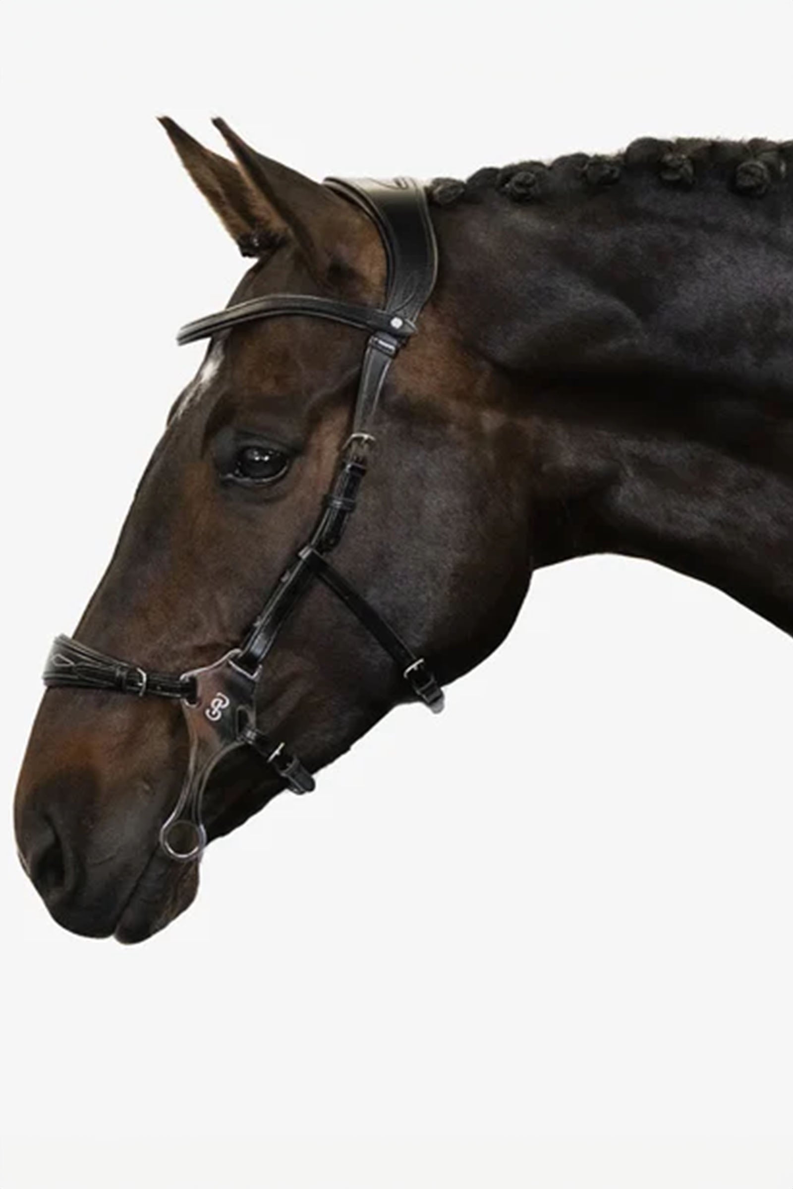 PS of Sweden Bocado Hackamore Sport Cabezadas de montar & Riendas