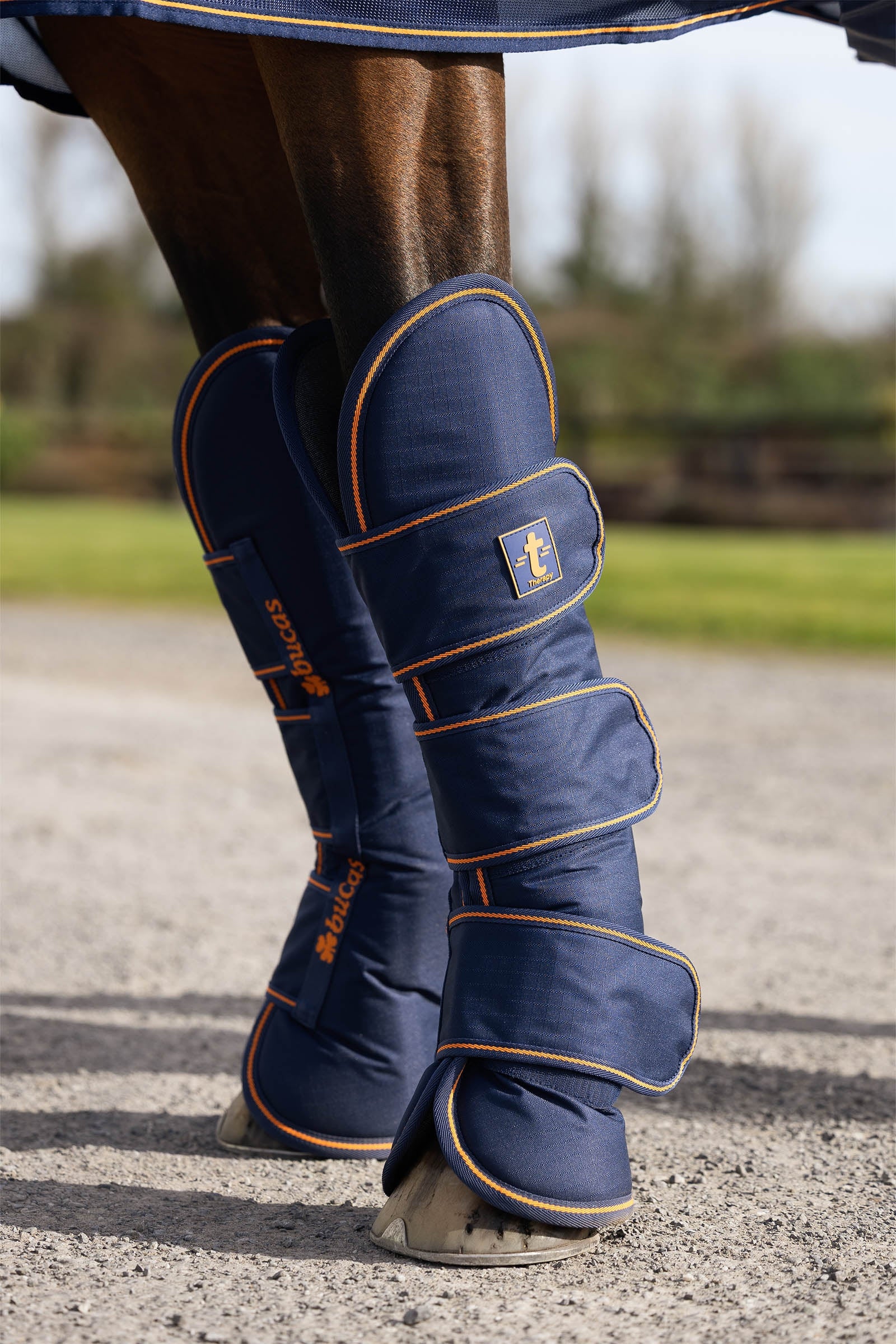 Bucas Therapy Travel Boots (Set of 4) Leg Protection & Hoof Protection for Horses
