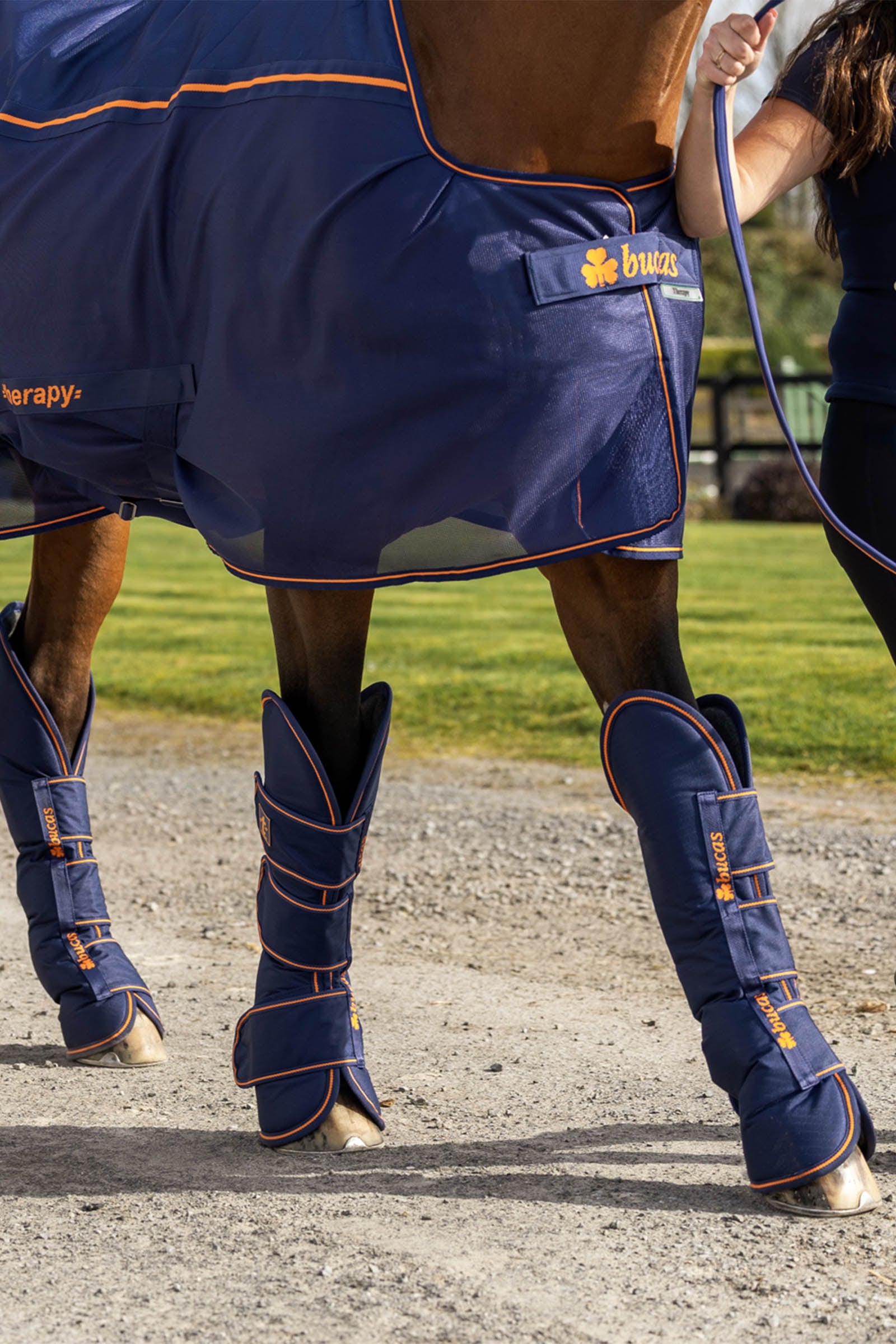 Bucas Therapy Travel Boots (Set of 4) Leg & Hoof Protection