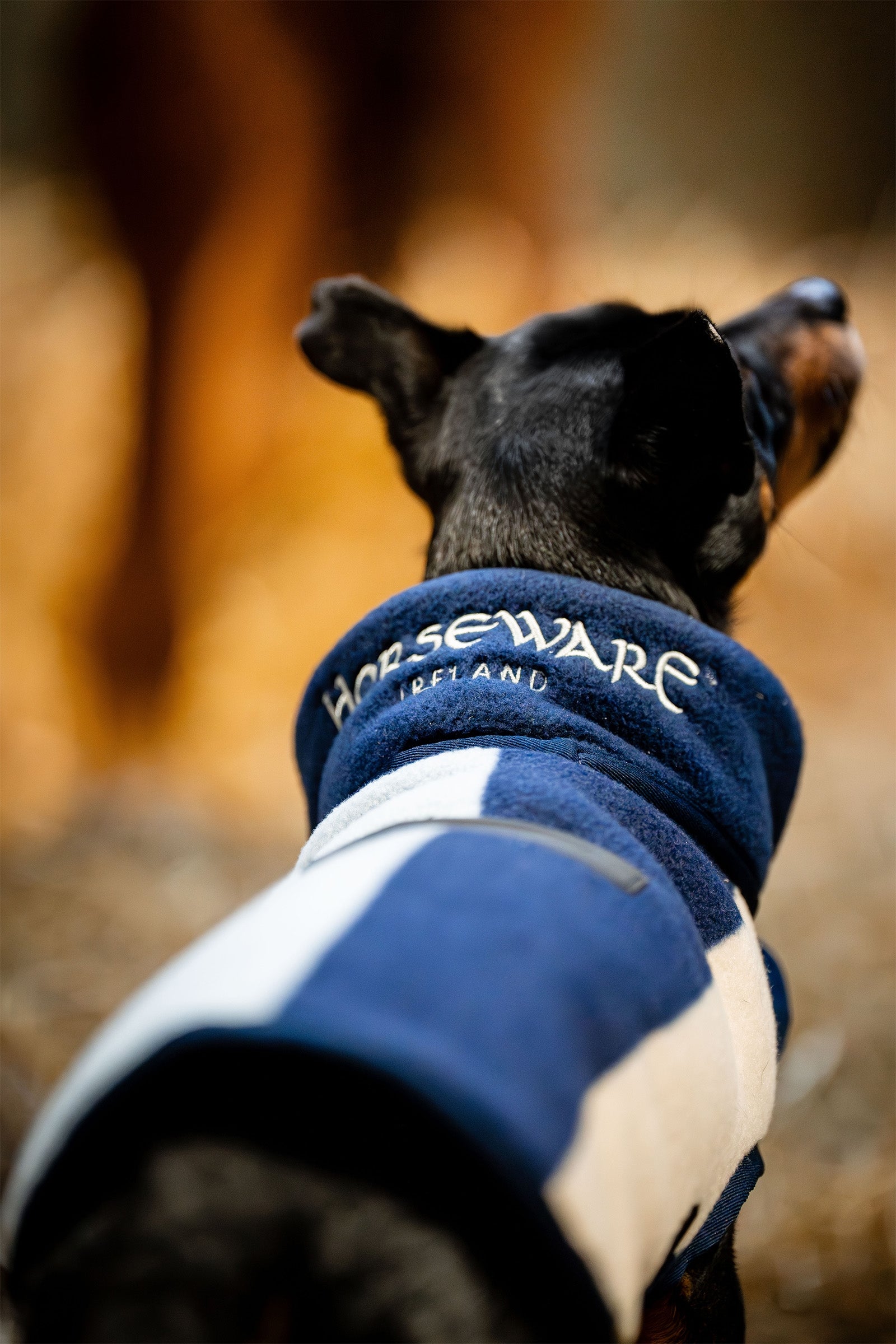 Horseware Signature Dog Fleece Dog Accesories