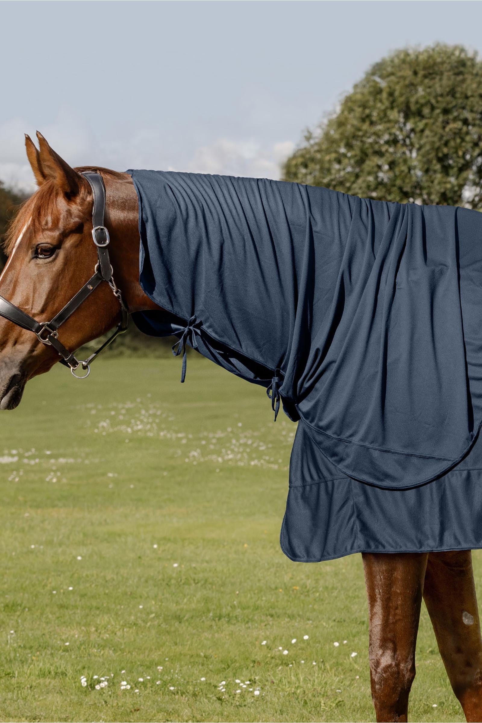 Waldhausen Health + Care Ice Layer parte del cuello Mantas Caballo