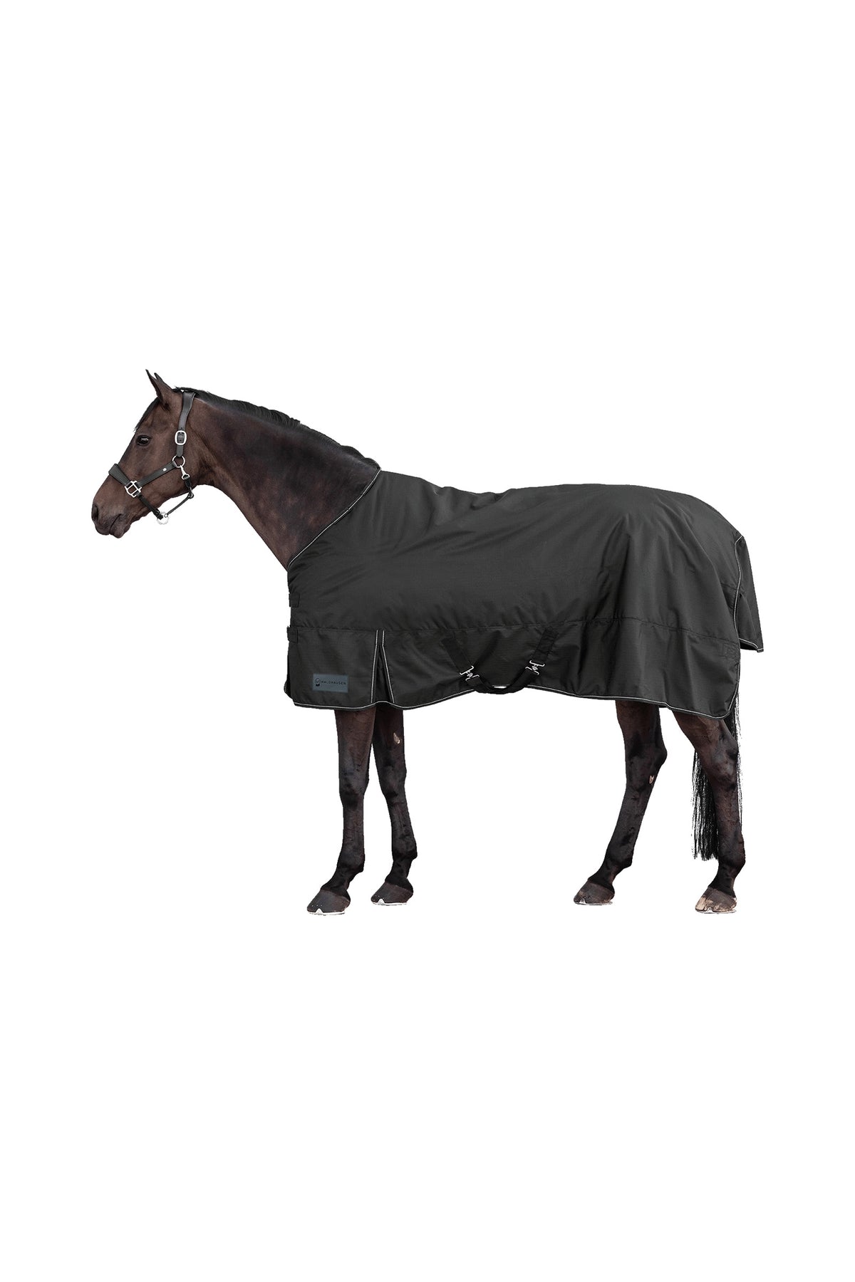 Waldhausen NORDIC 600D Manta de Exterior, 100 g Mantas Caballo