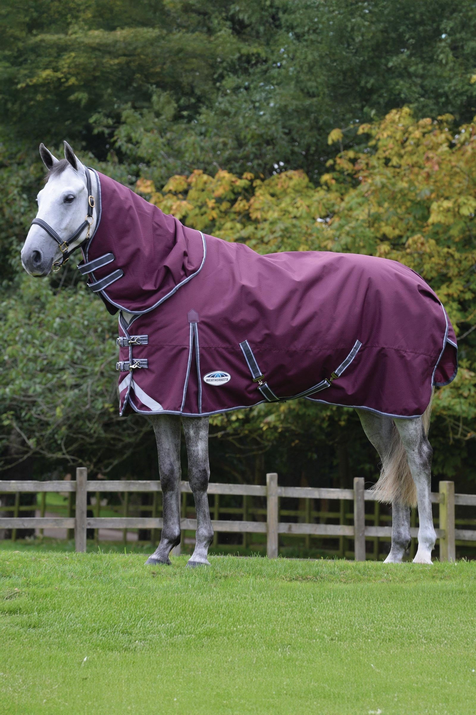 Weatherbeeta Comfitec Plus Dynamic II manta de exterior con cuello desmontable, 220g Mantas Caballo