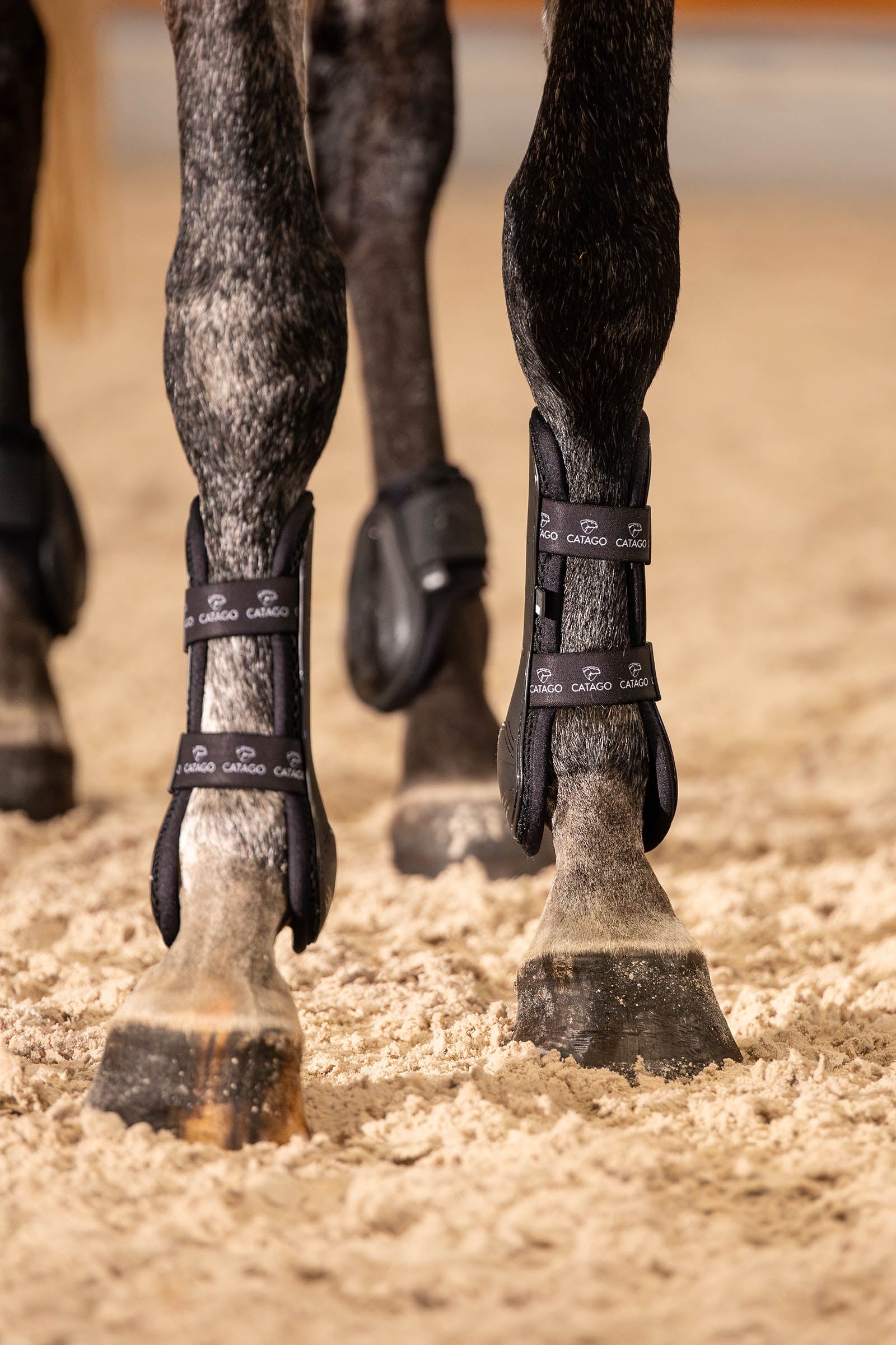 Catago CATAGO FIR-Tech Performance JP Tendon Boots Leg & Hoof Protection