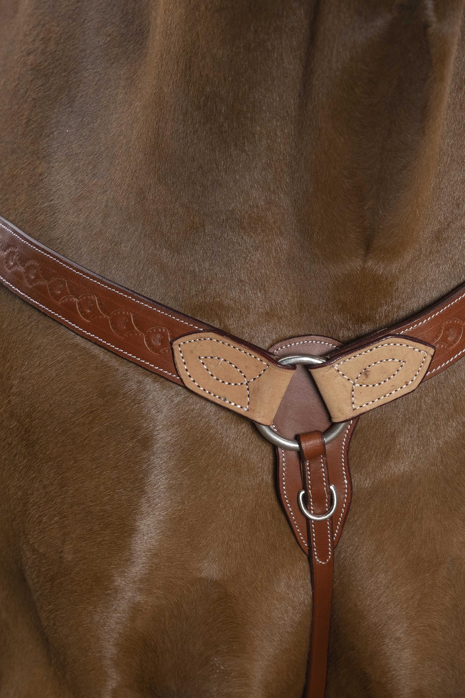 WESTRIDE Hunting Collar Two-Tone Bridles & Reins