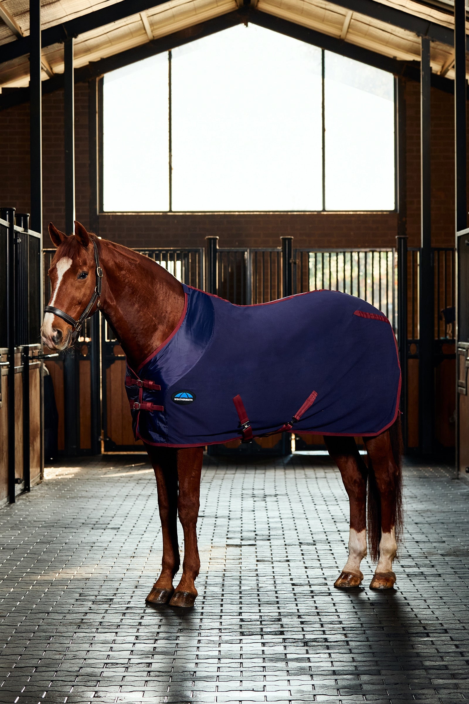 Weatherbeeta Anti-Sta Tic Fleece Cooler Rug Standard Neck Horse Rugs