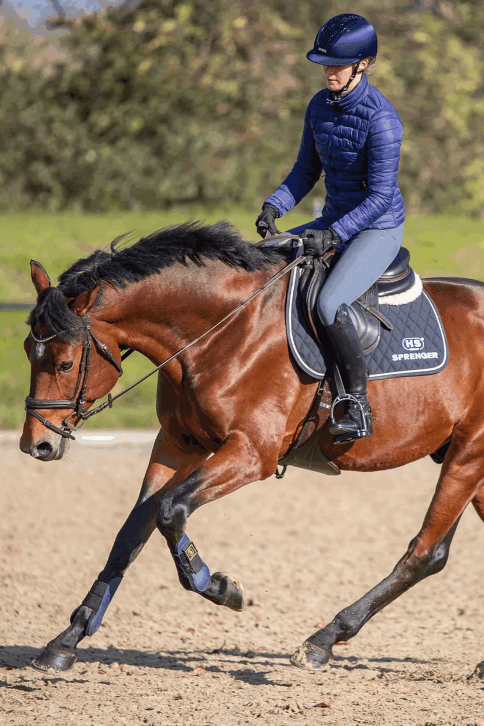 Sprenger Novocontact Olivehead Bit, Double Jointed Horse Bits