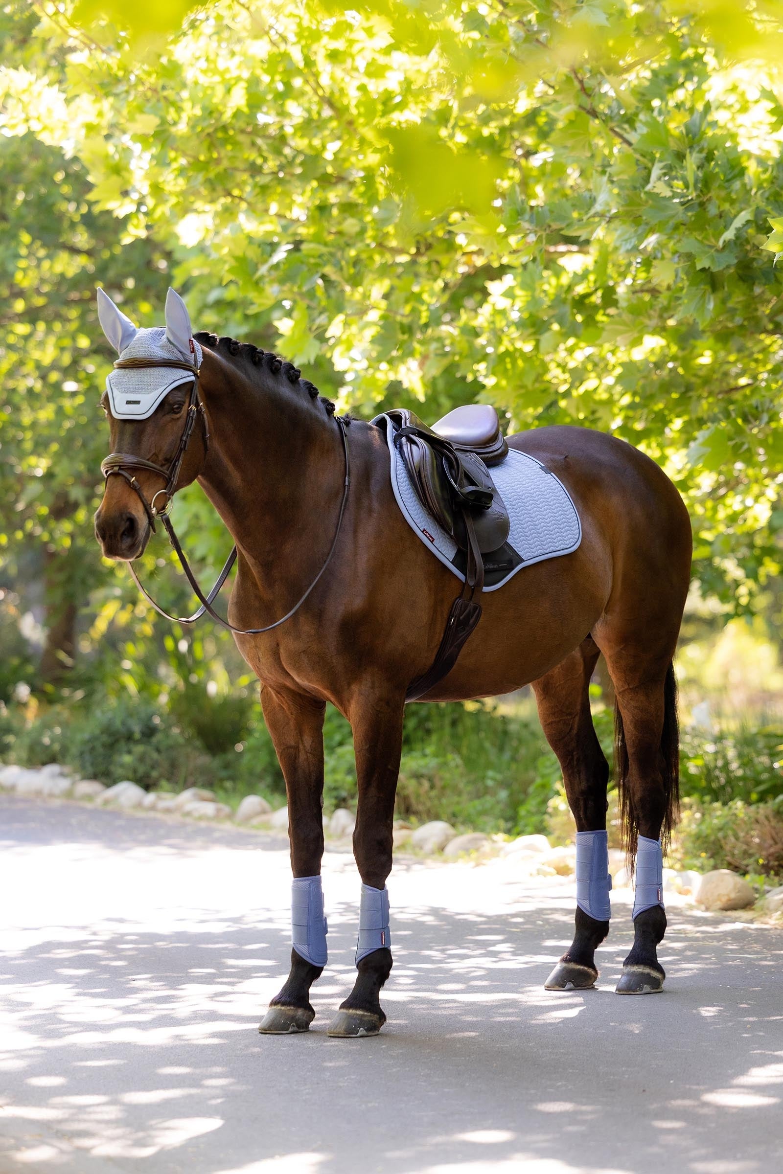 LeMieux Essence Eurojump Jumping Saddle Pad Saddle Pads