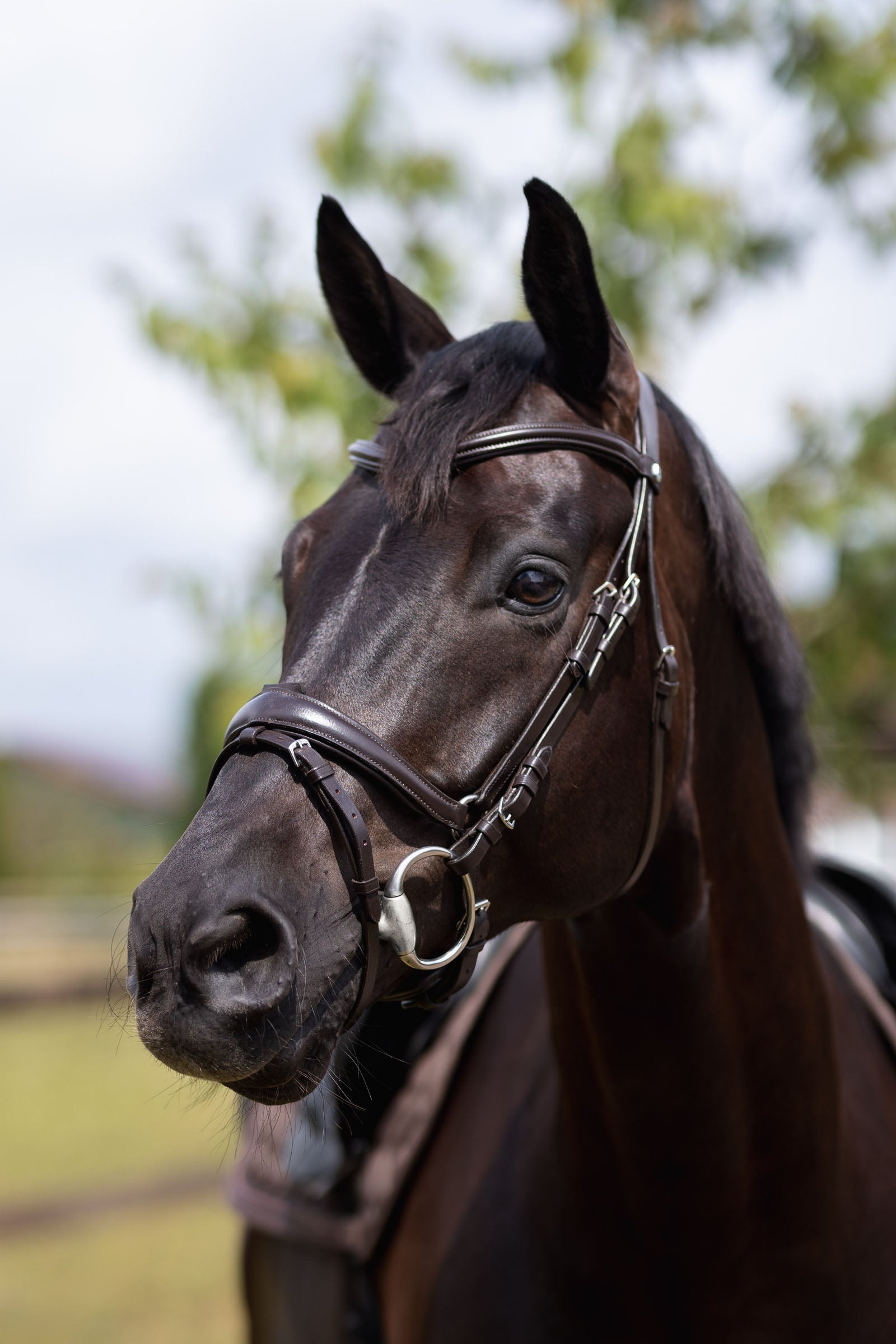 Horze Nature Made Leisure Bridle Bridles & Reins