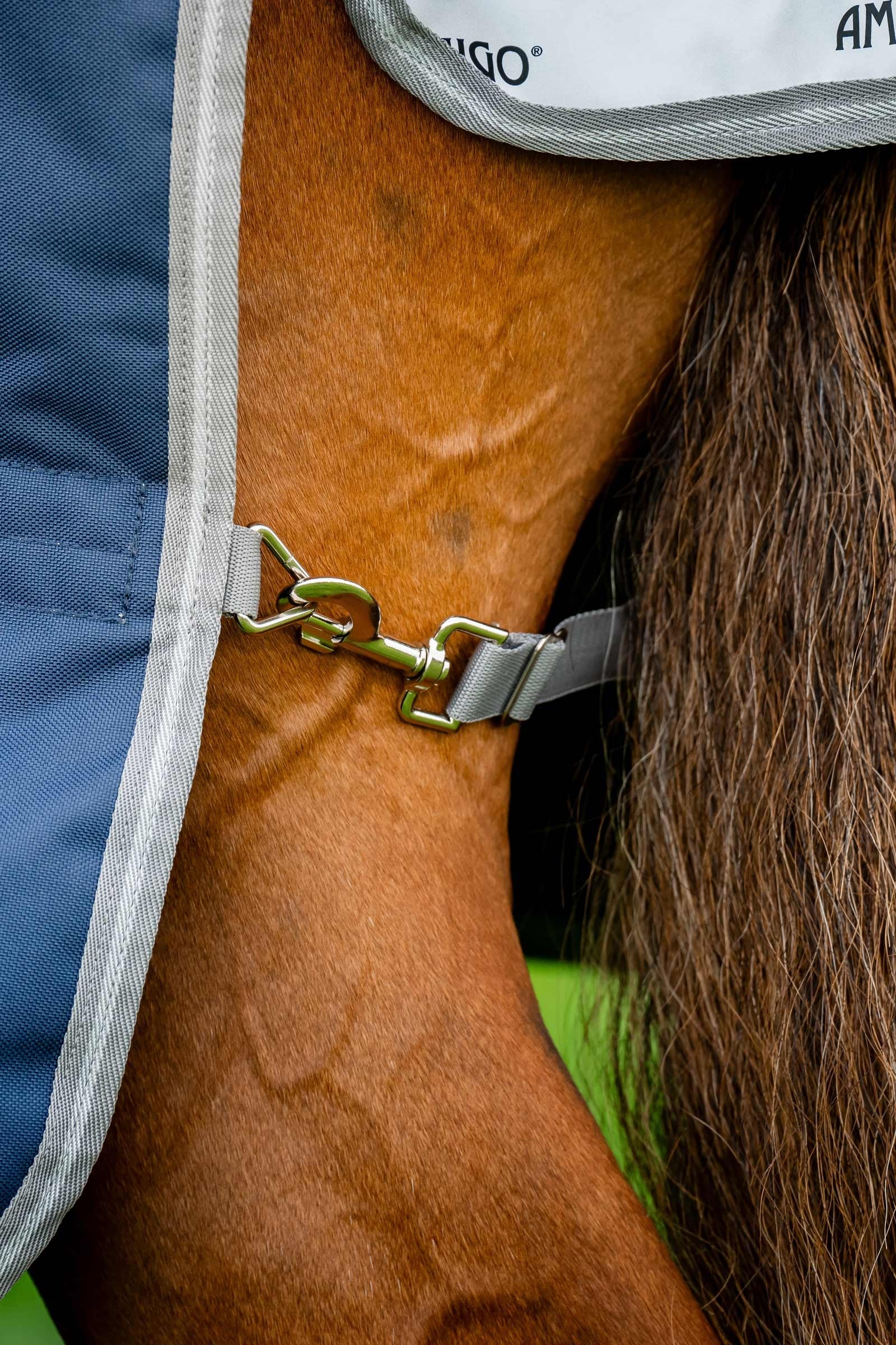 Horseware Amigo Bravo 12 Plus Turnout Rug With Detachable Neck, 0g Horse Rugs