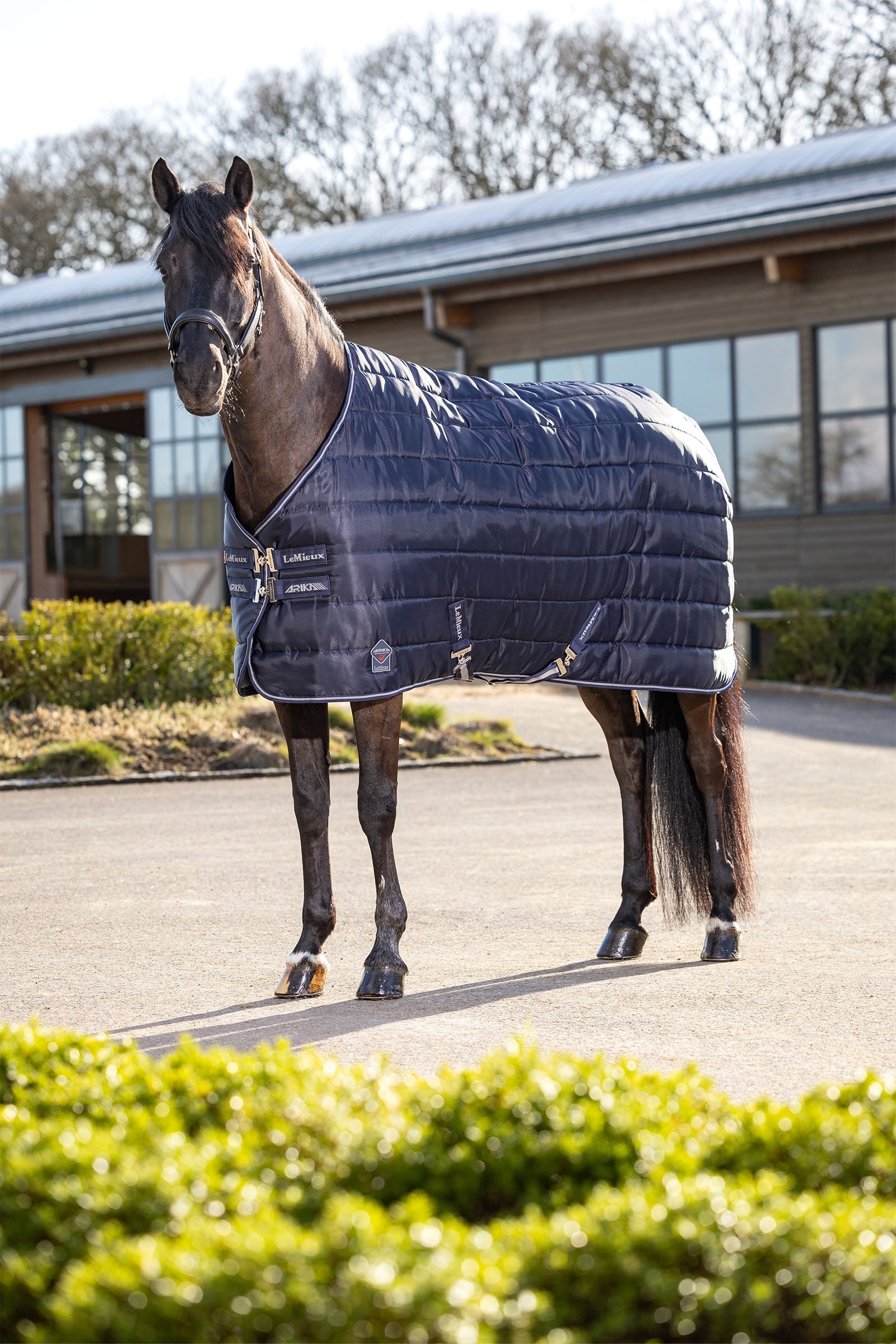 LeMieux Arika Stable-Tek 100g Horse Rugs