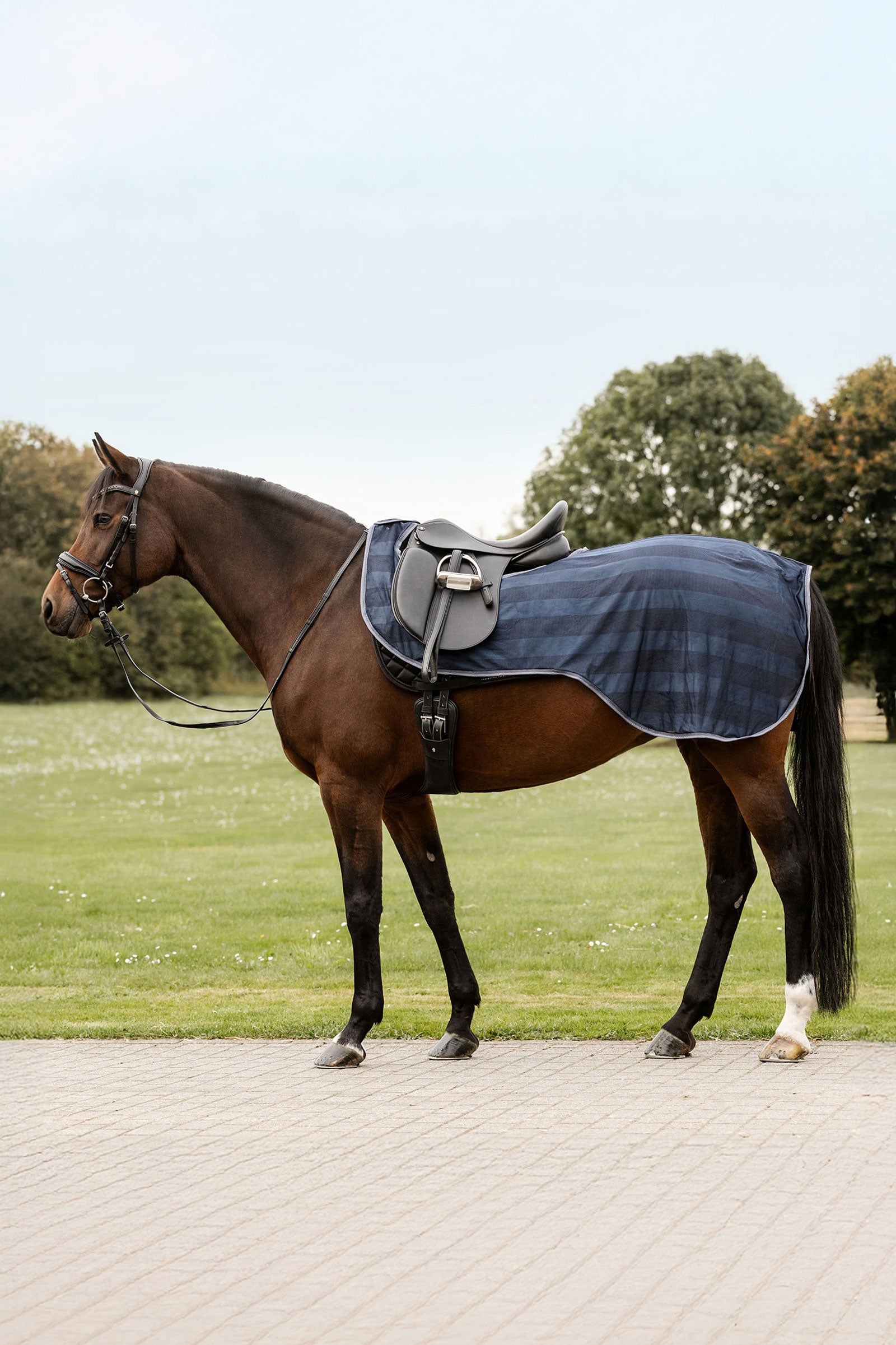 Waldhausen Economic manta antimoscas para montar Mantas Caballo