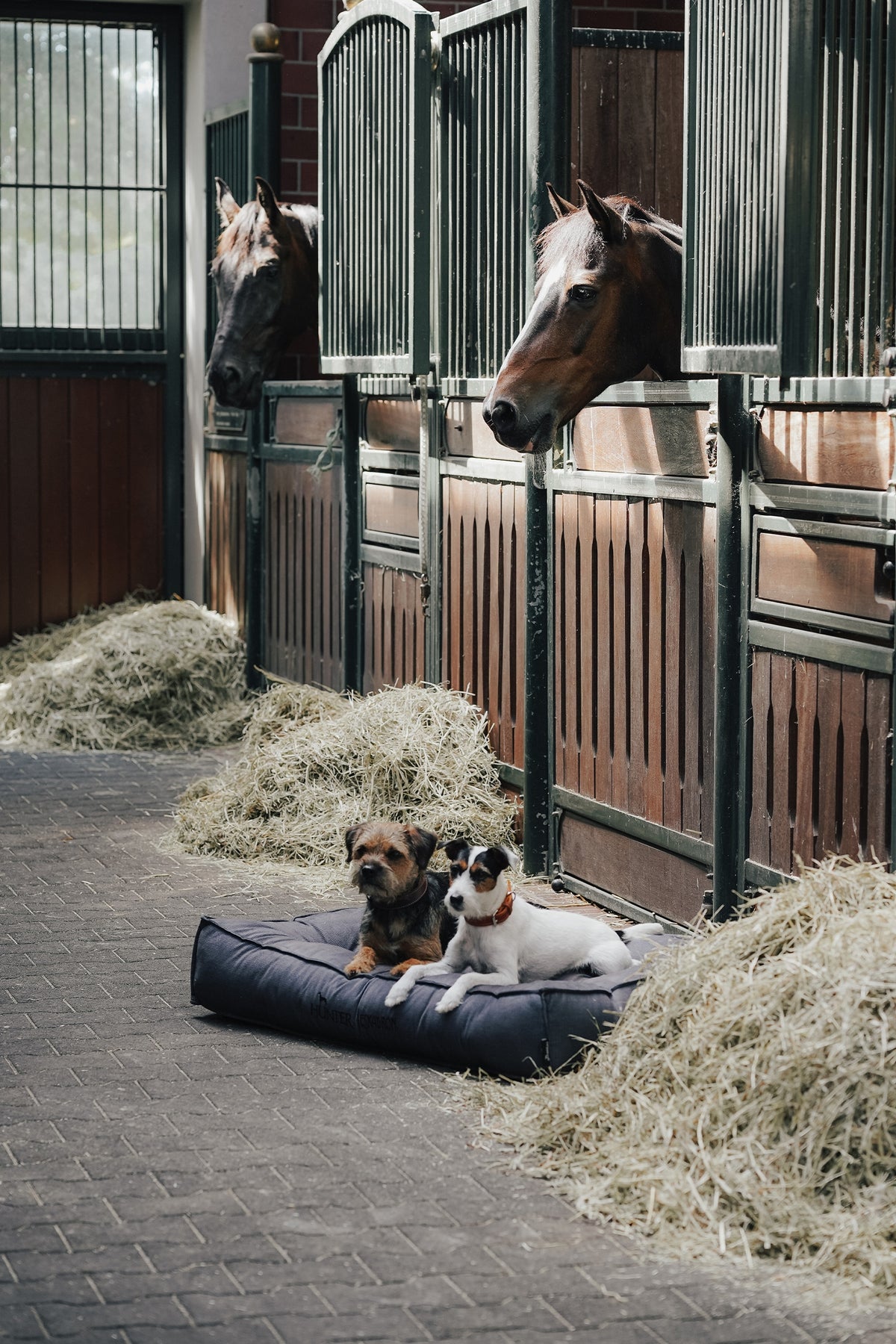 Eskadron Hunter x ESKADRON CHESTER Dog Bed Dog Accesories