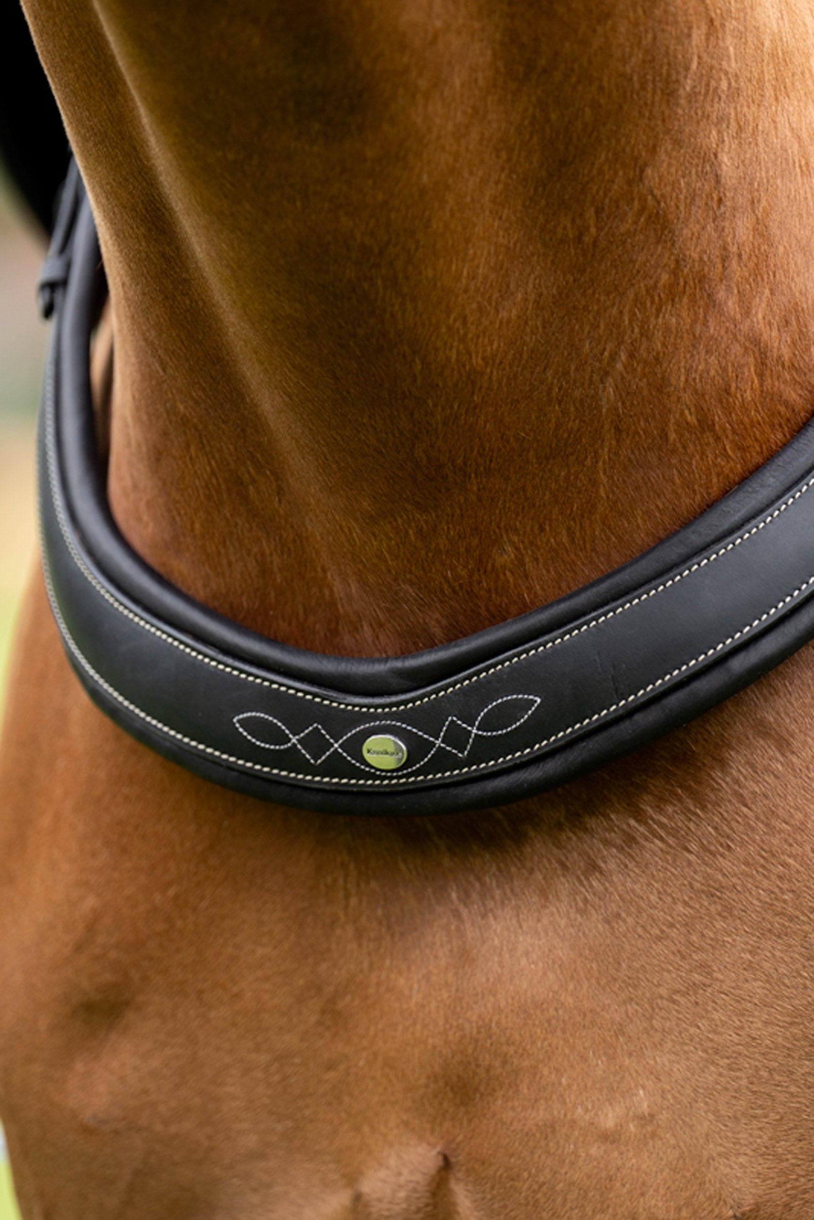 Kavalkade Jerome 2-Point Breastplate Bridles & Reins