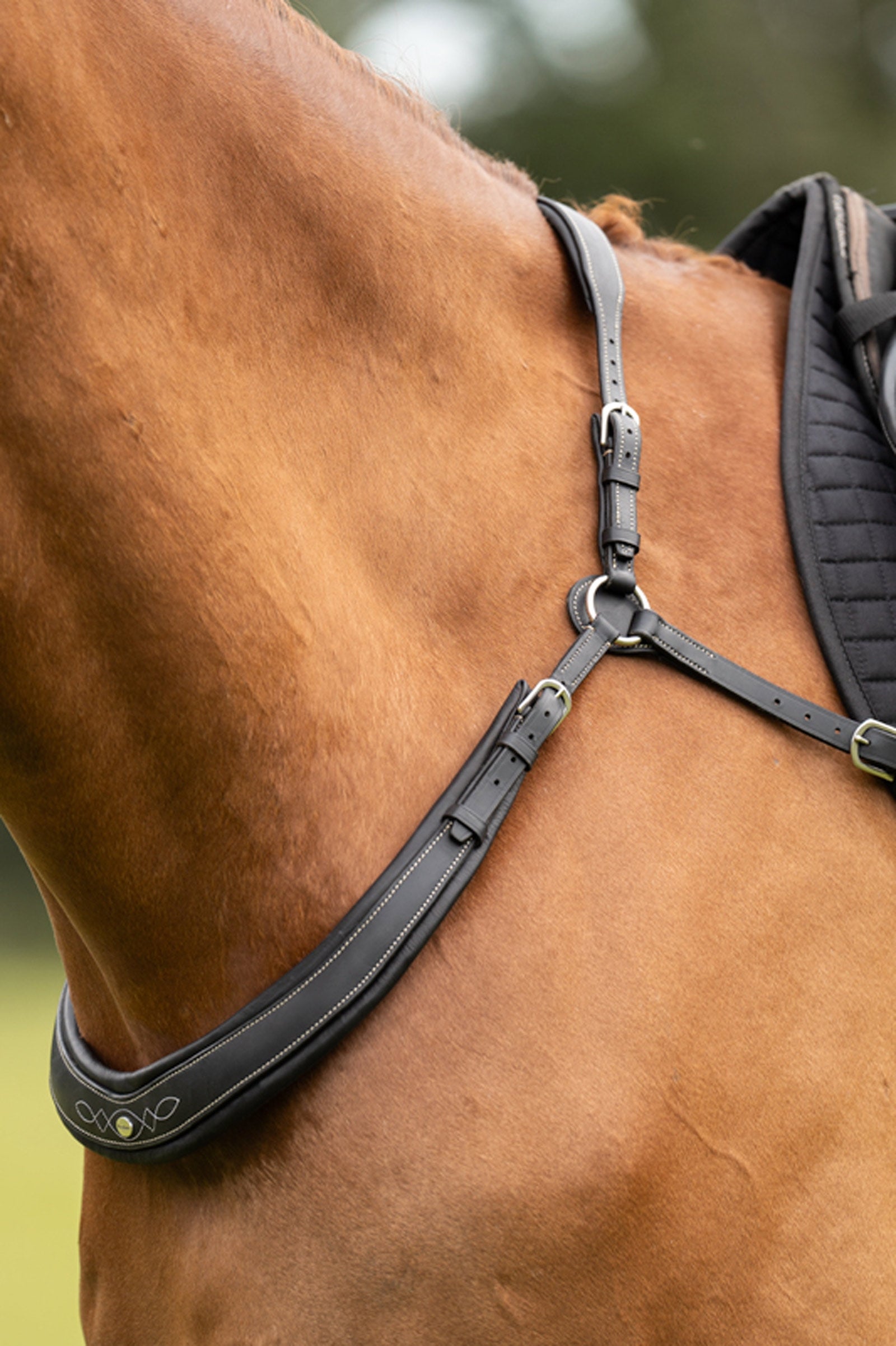 Kavalkade Jerome 2-Point Breastplate Bridles & Reins