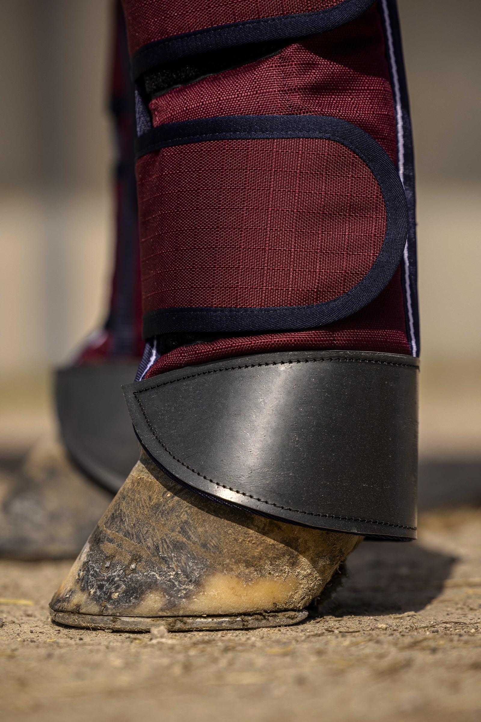 Equi Theme EQUITHÈME TYREX 1200D Reinforced Transport Boots Leg & Hoof Protection