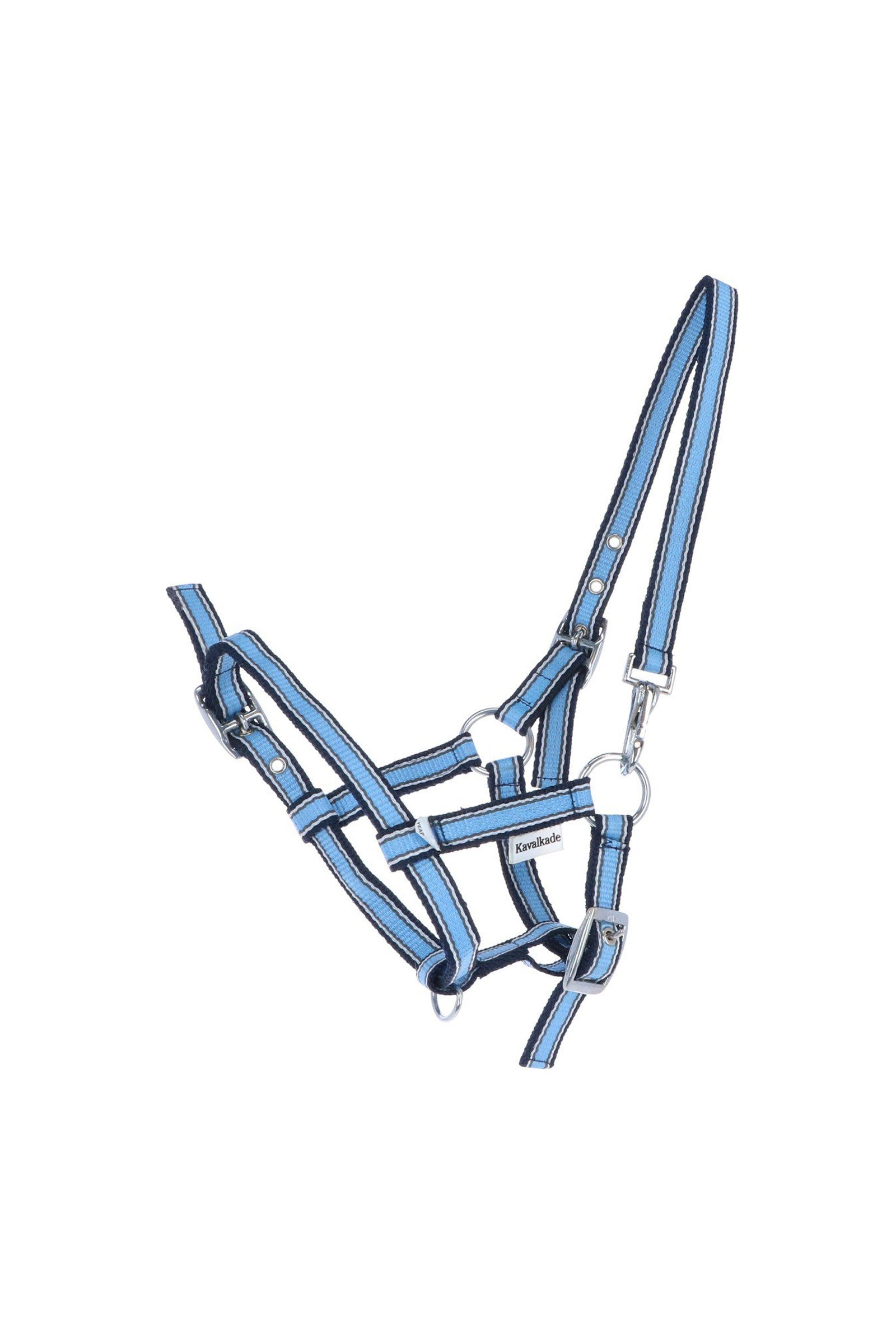 Kavalkade Cabestro de para potros y añales Cabezadas de cuadra & Ramales