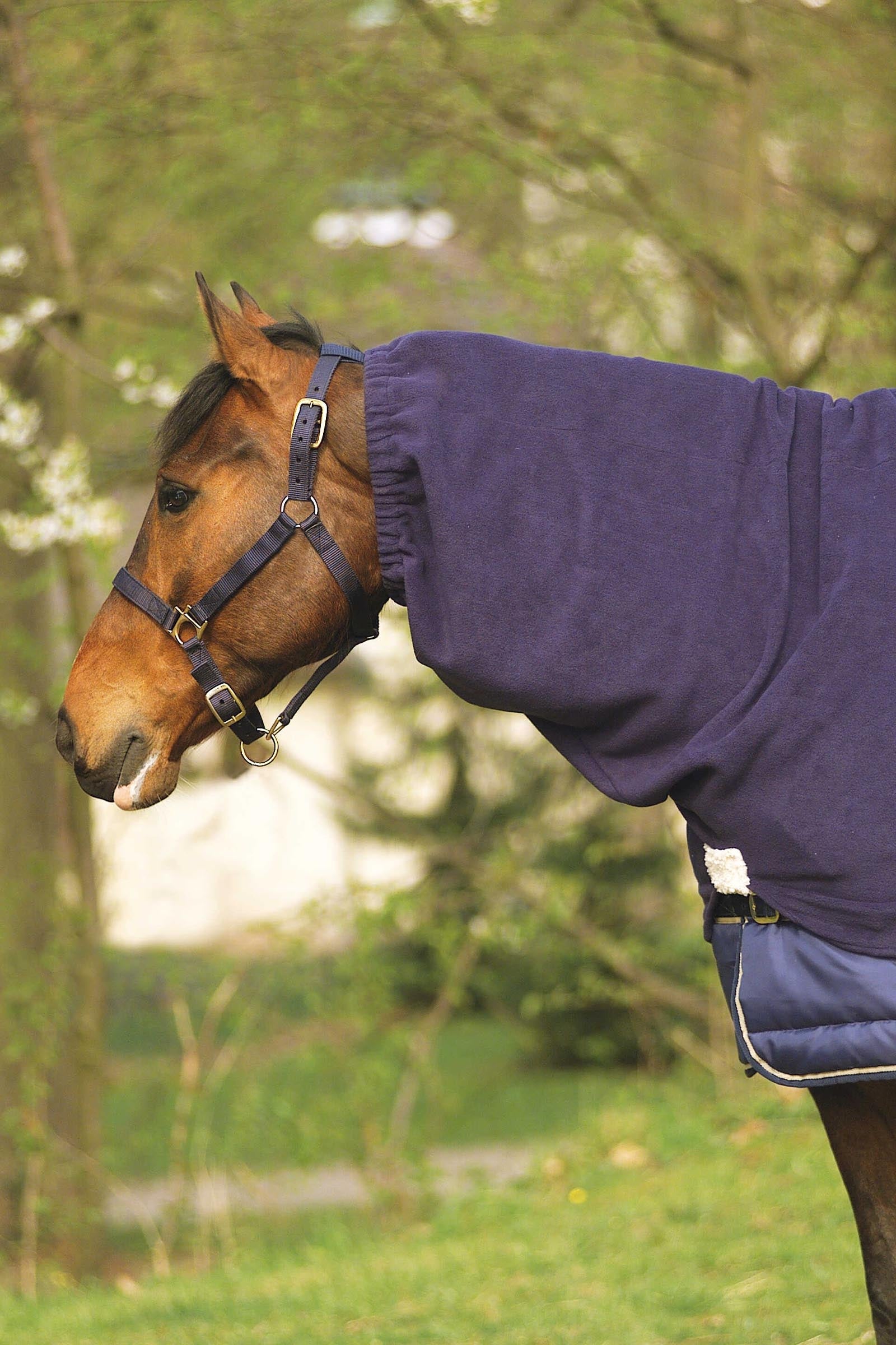 EQUITHÈME Polar Fleece cubrecuello Mantas Caballo
