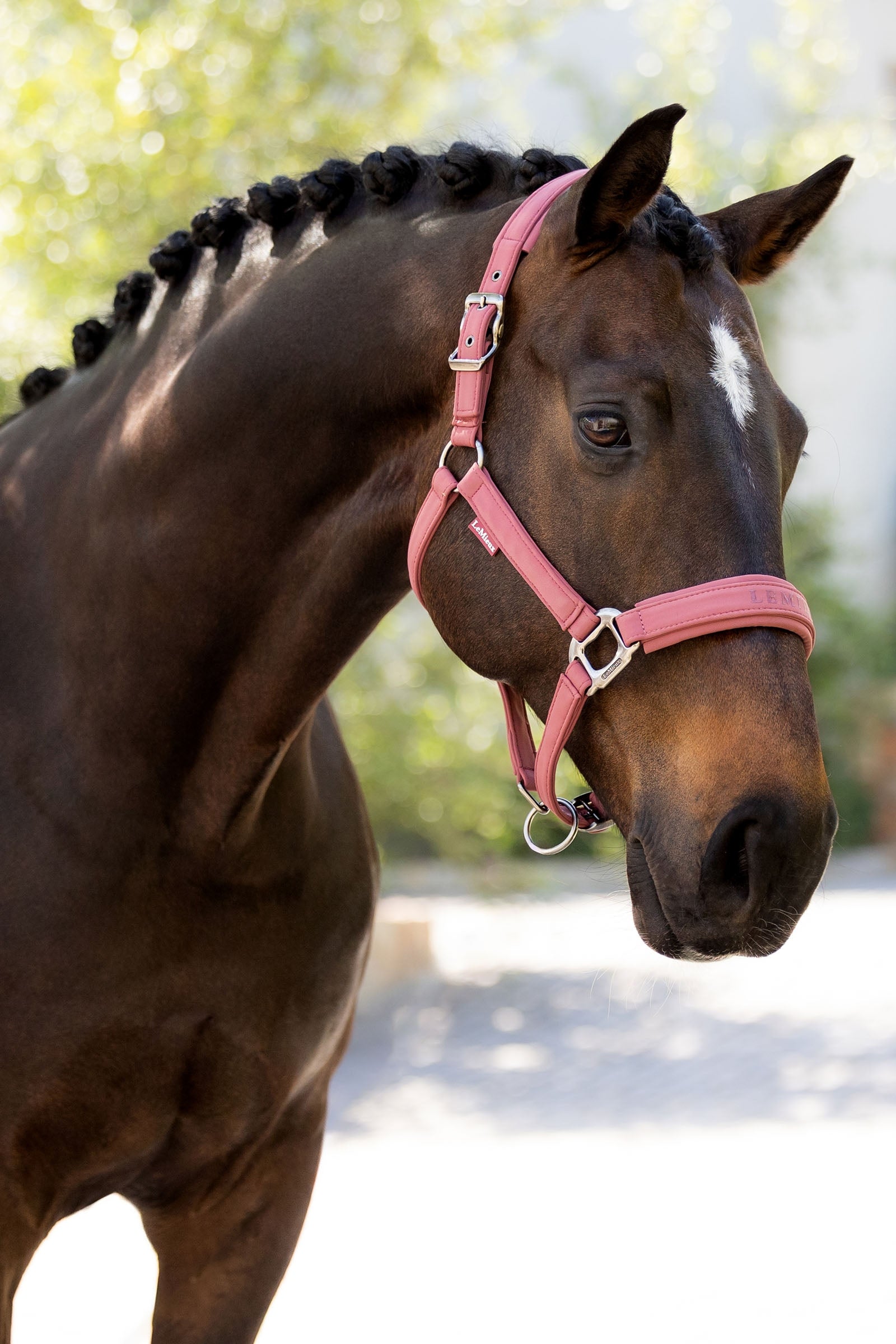 LeMieux Essence Headcollar Halters & Leads