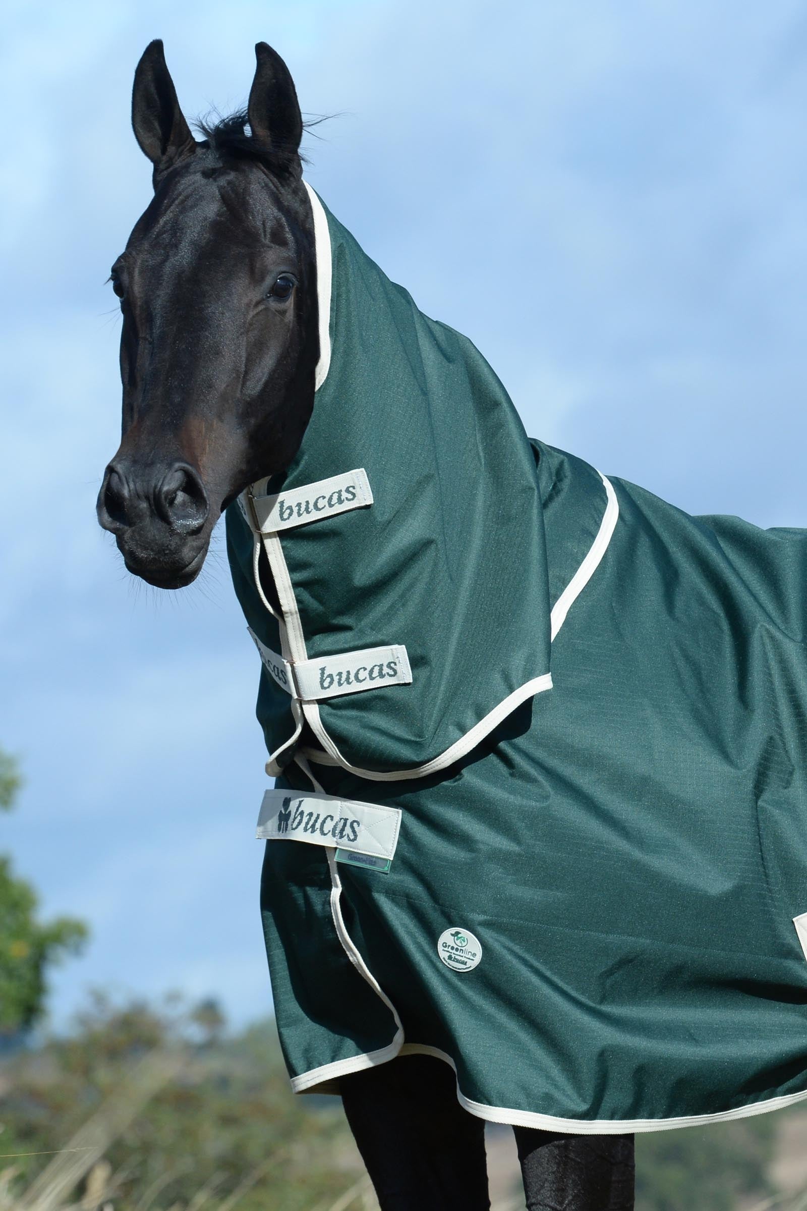Bucas Green-Line Neck Horse Rugs