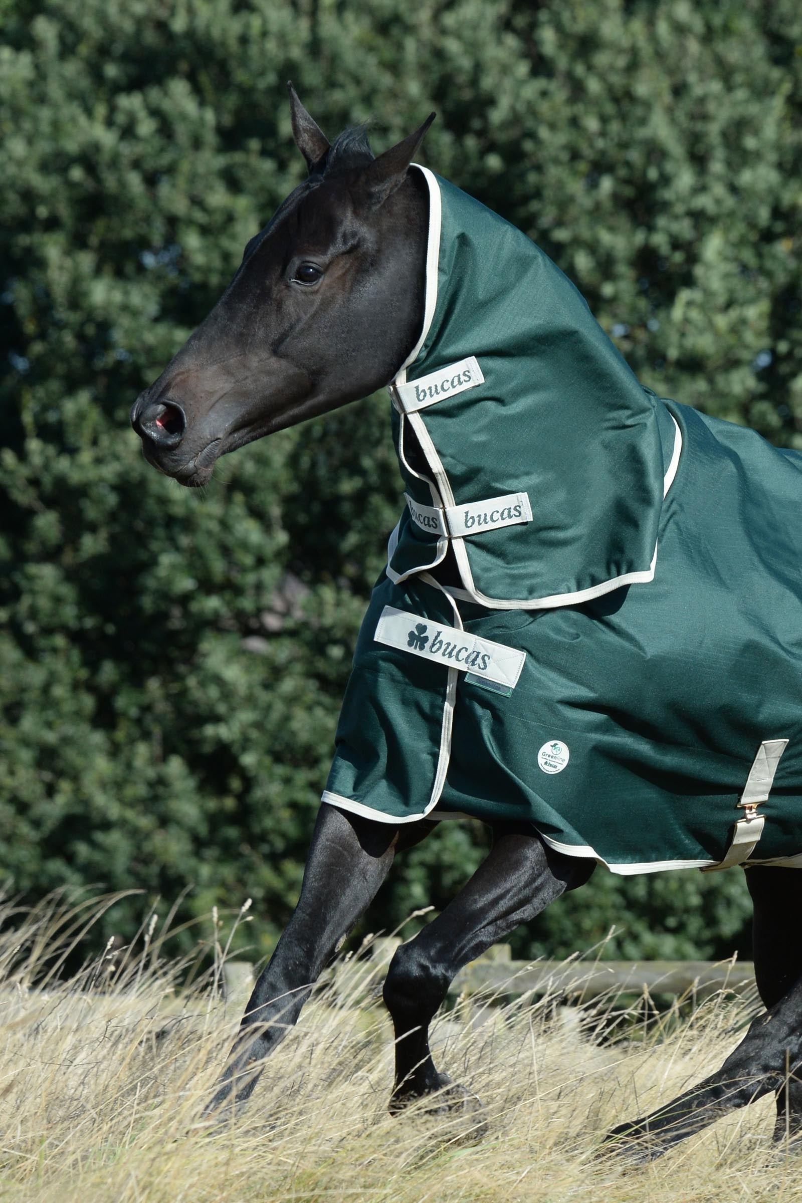 Bucas Green-Line Neck Horse Rugs