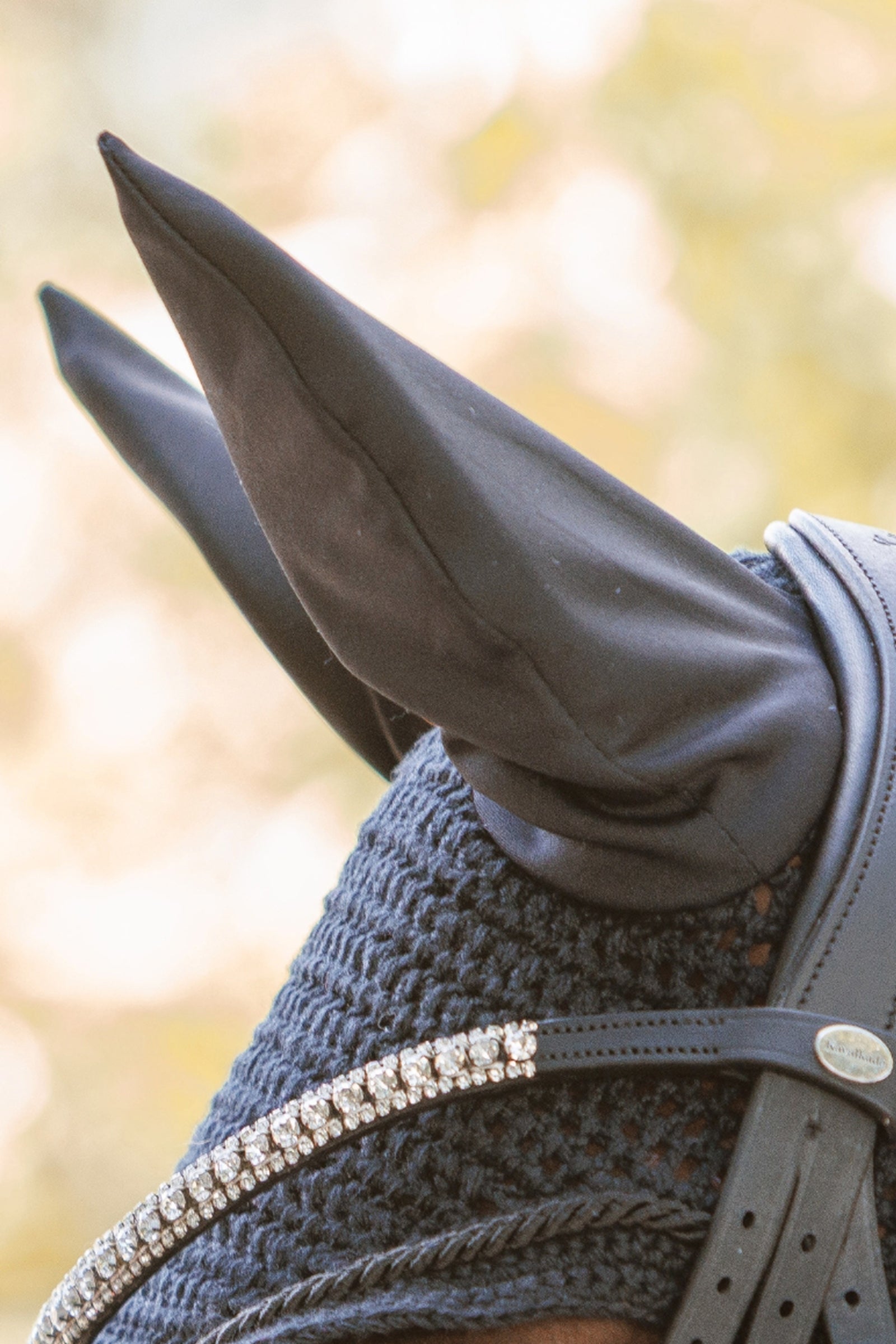 Lifestyle shot 2