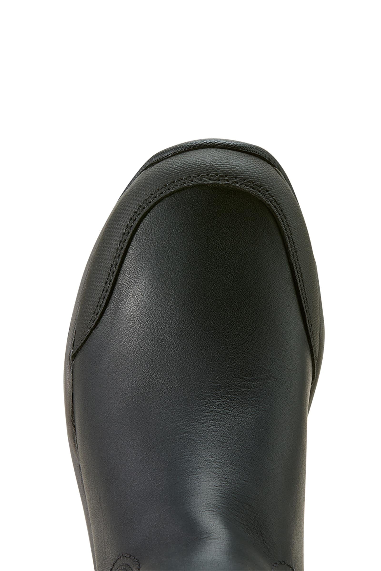 Ariat Telluride H2O Women´s Tall Boots Riding Boots & Riding Shoes