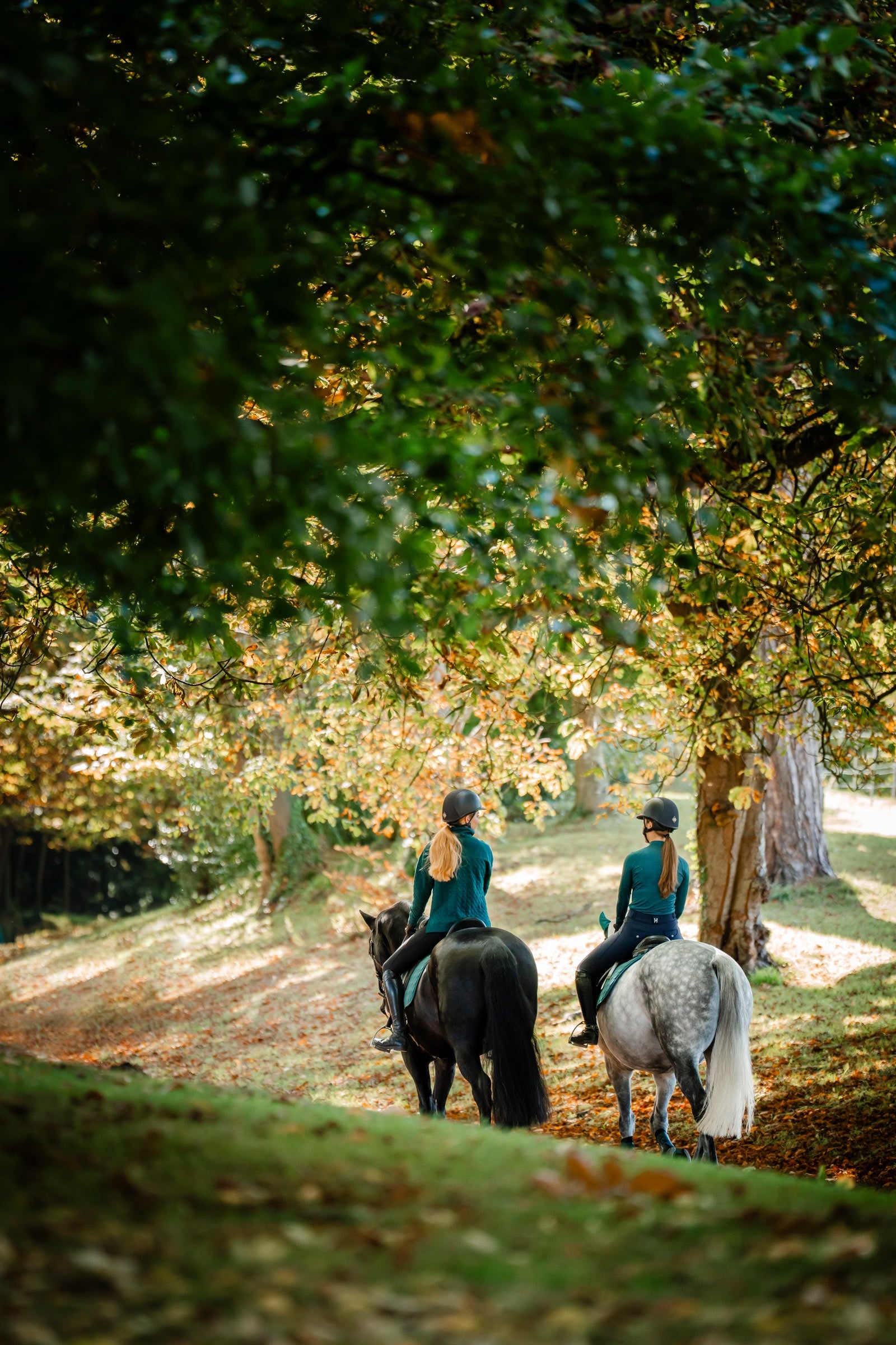 Horseware Strive Winter Women´s 1/4 Zip Top Women’s Riding Clothing