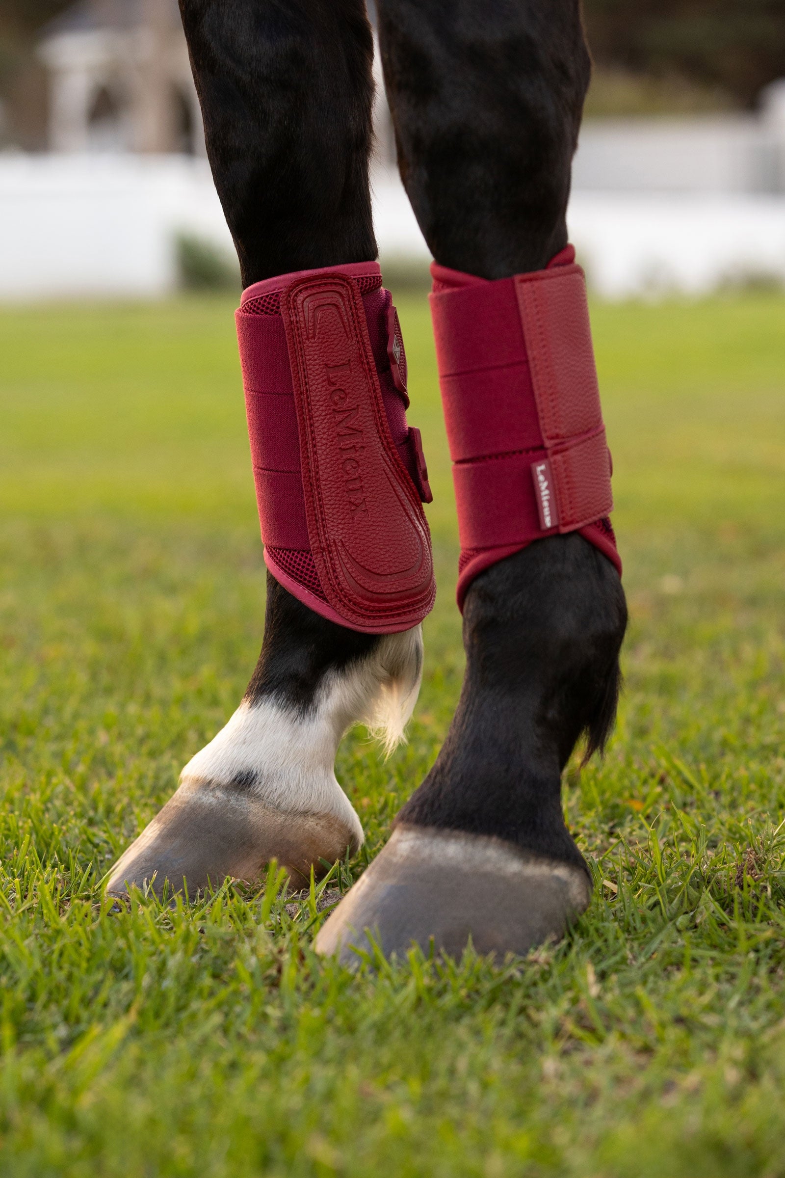 LeMieux Arika Mesh Brushing Boots Leg Protection & Hoof Protection for Horses