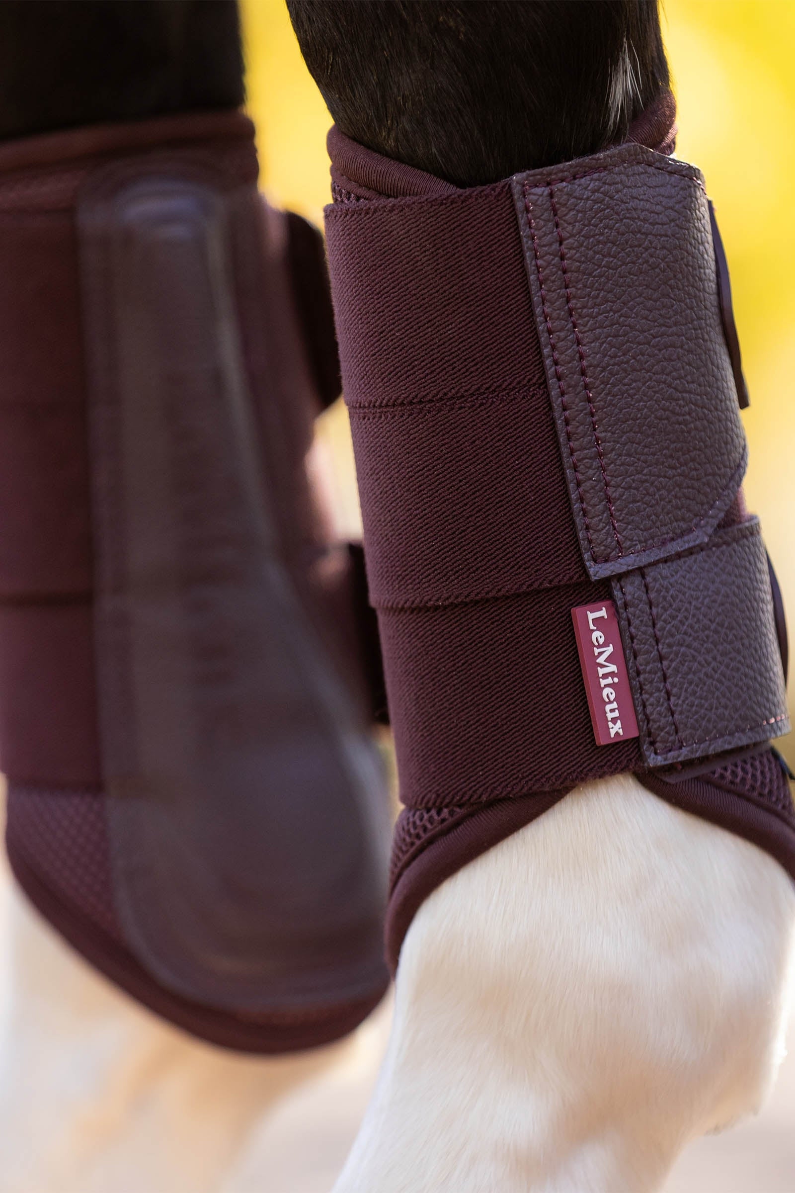 LeMieux Arika Mesh Brushing Boots Leg Protection & Hoof Protection for Horses