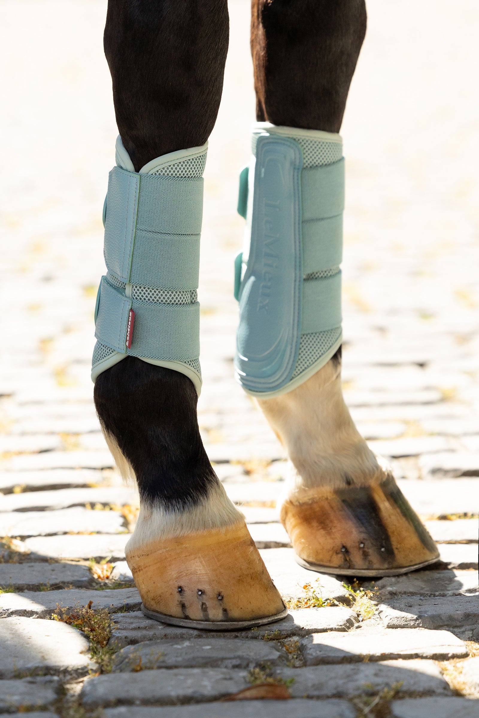 LeMieux Arika Mesh Brushing Boots Leg Protection & Hoof Protection for Horses