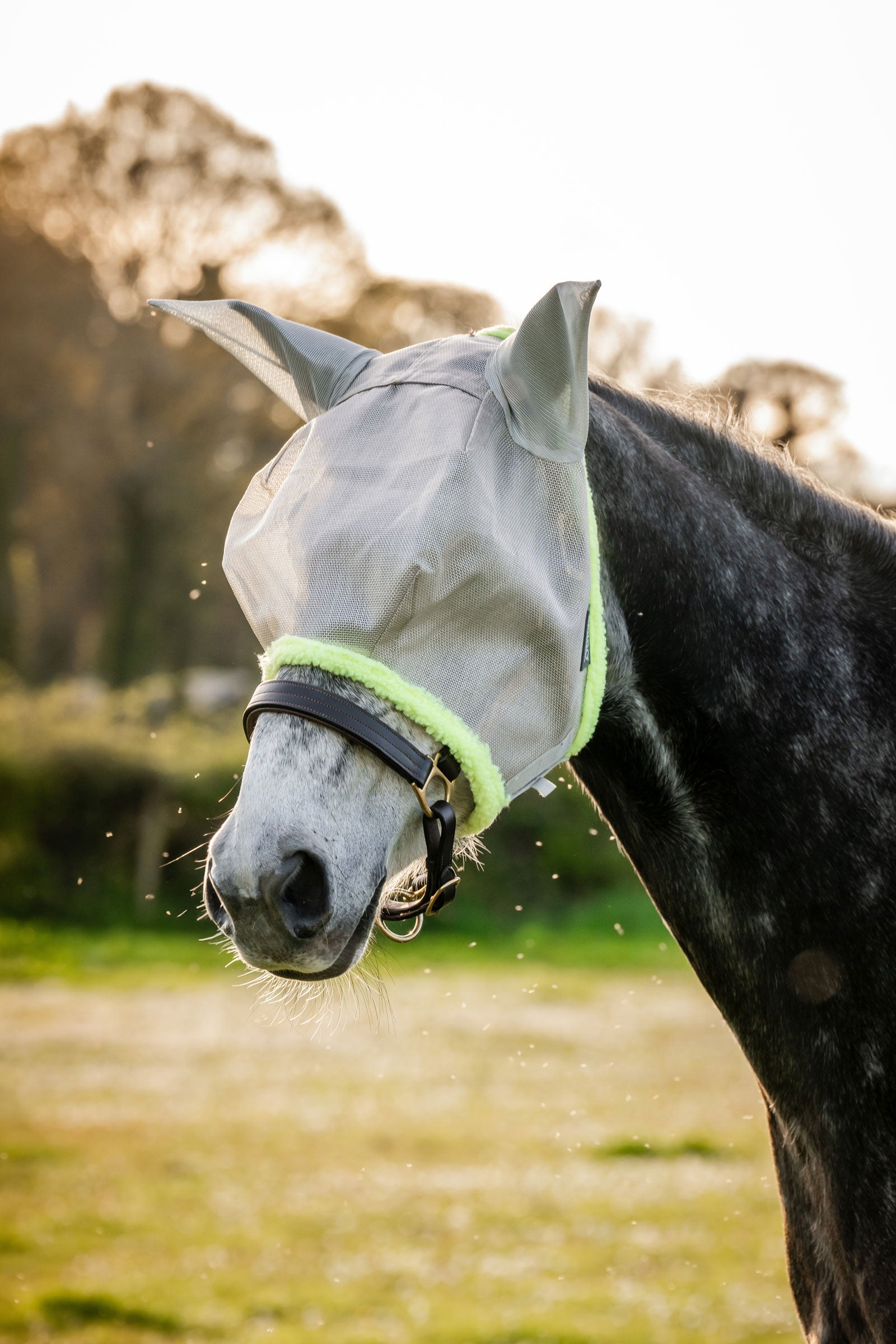 Horseware Amigo Fly Mask Antifly Protection for Horses
